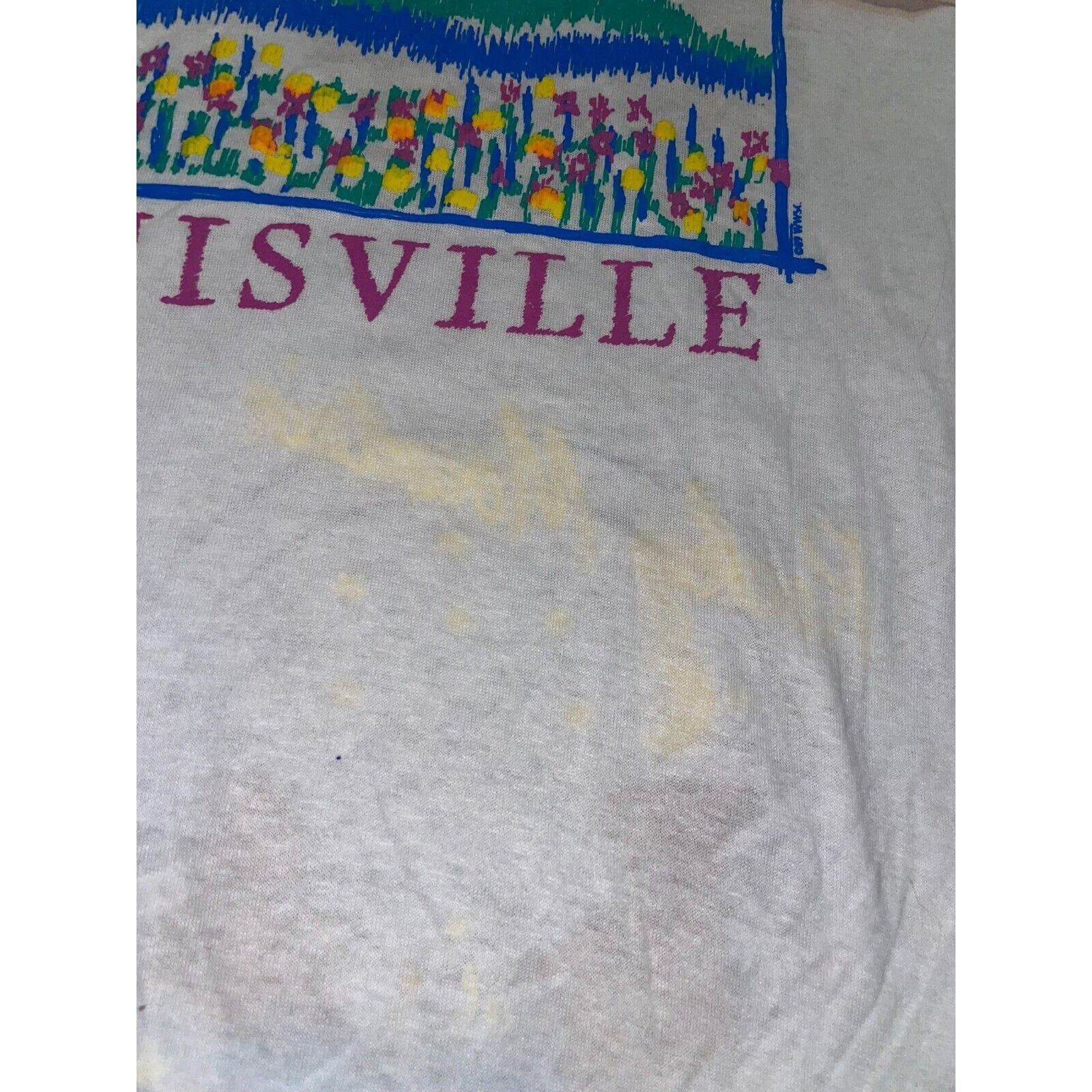 Jerzees Vintage Louisville Rocky Mountain Test Print White M Shirt Size US M / EU 48-50 / 2 - 12 Thumbnail
