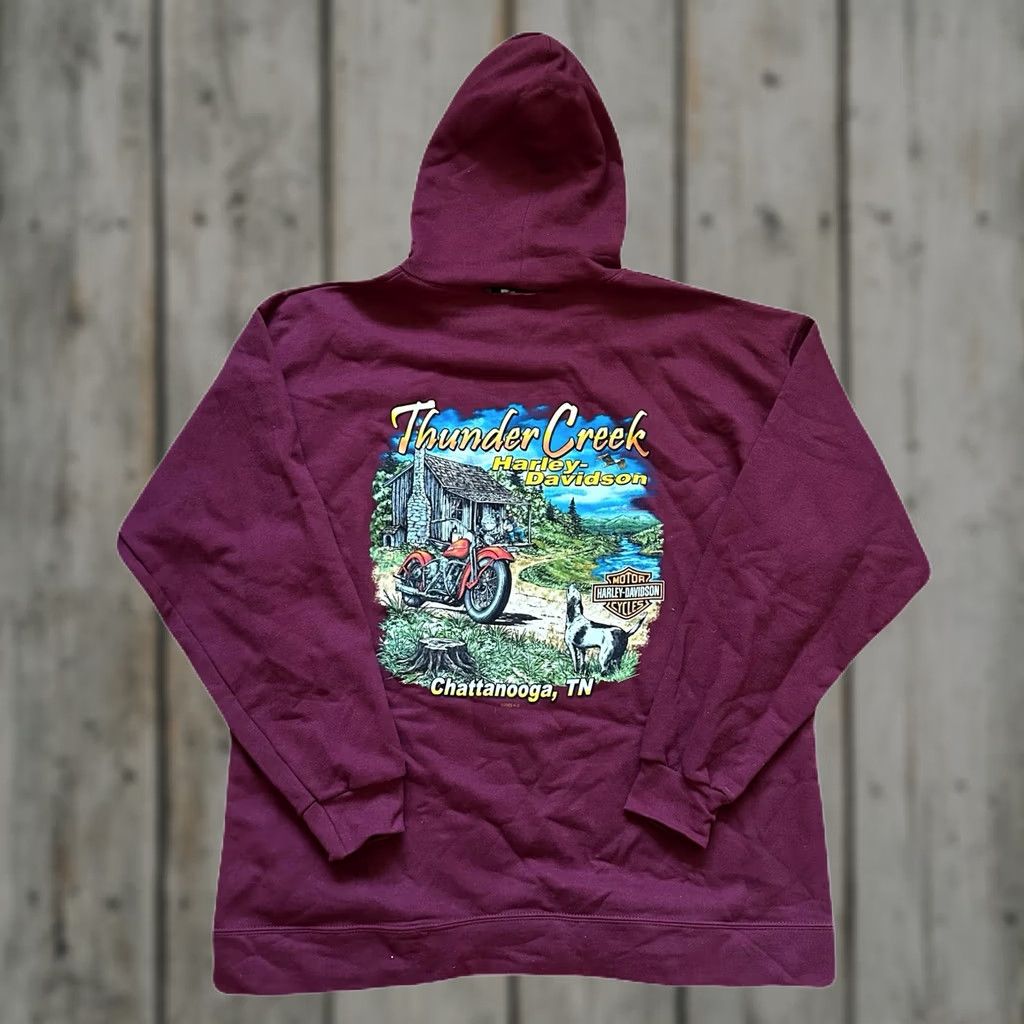 Harley Davidson VINTAGE Harley-Davidson Biker Hoodie Size L Red Men Pullover 2000s Chattanooga Motorcycles Size US L / EU 52-54 / 3 - 1 Thumbnail