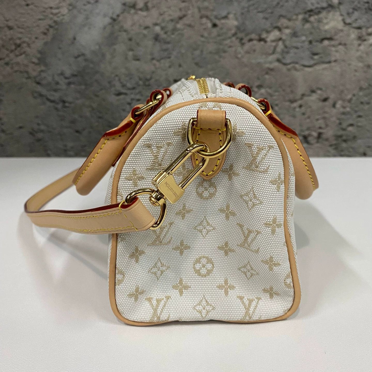 Louis Vuitton LV Speedy Pillow Bag white denim Size ONE SIZE - 3 Thumbnail