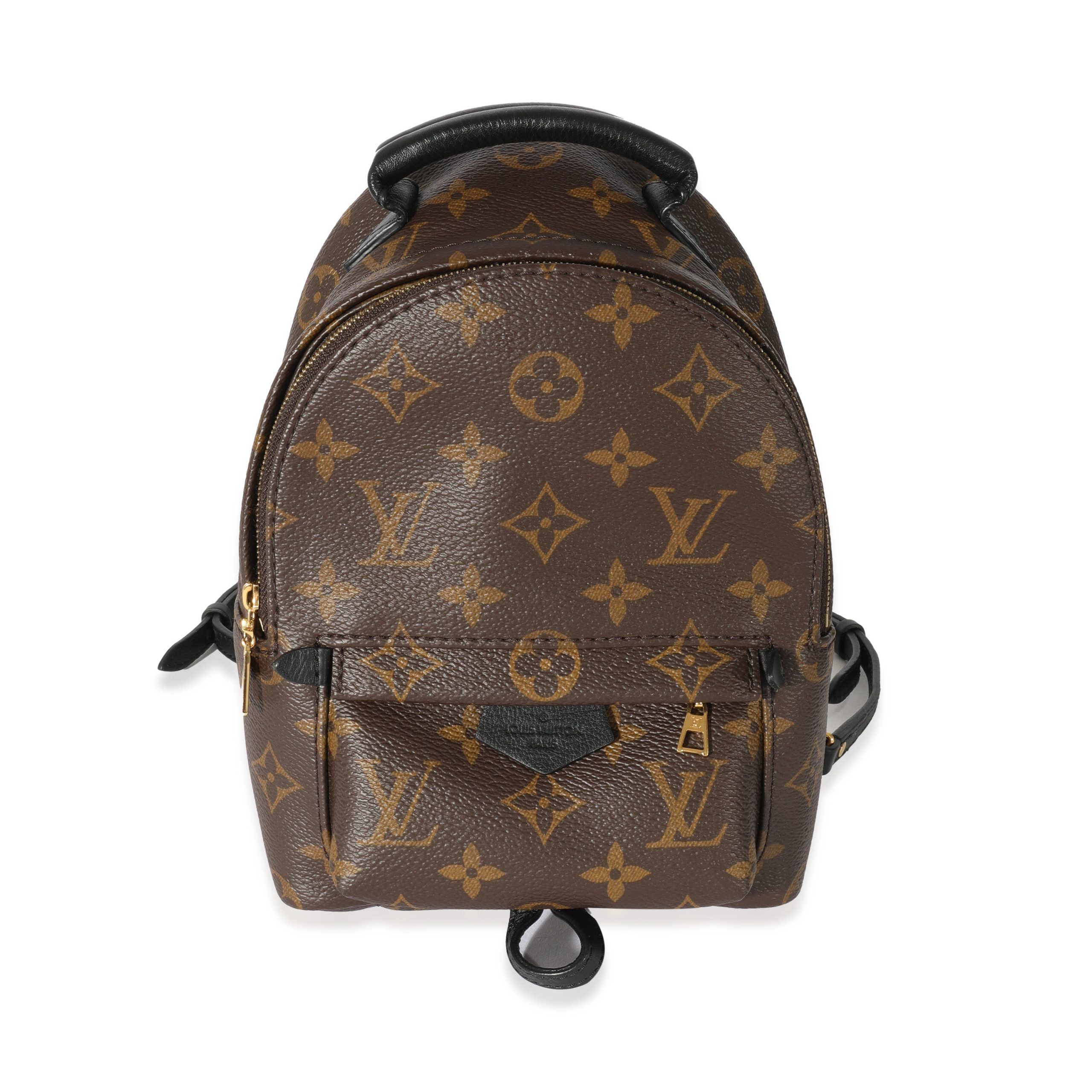 image of Louis Vuitton Monogram Mini Palm Spring Backpack in Brown, Women's