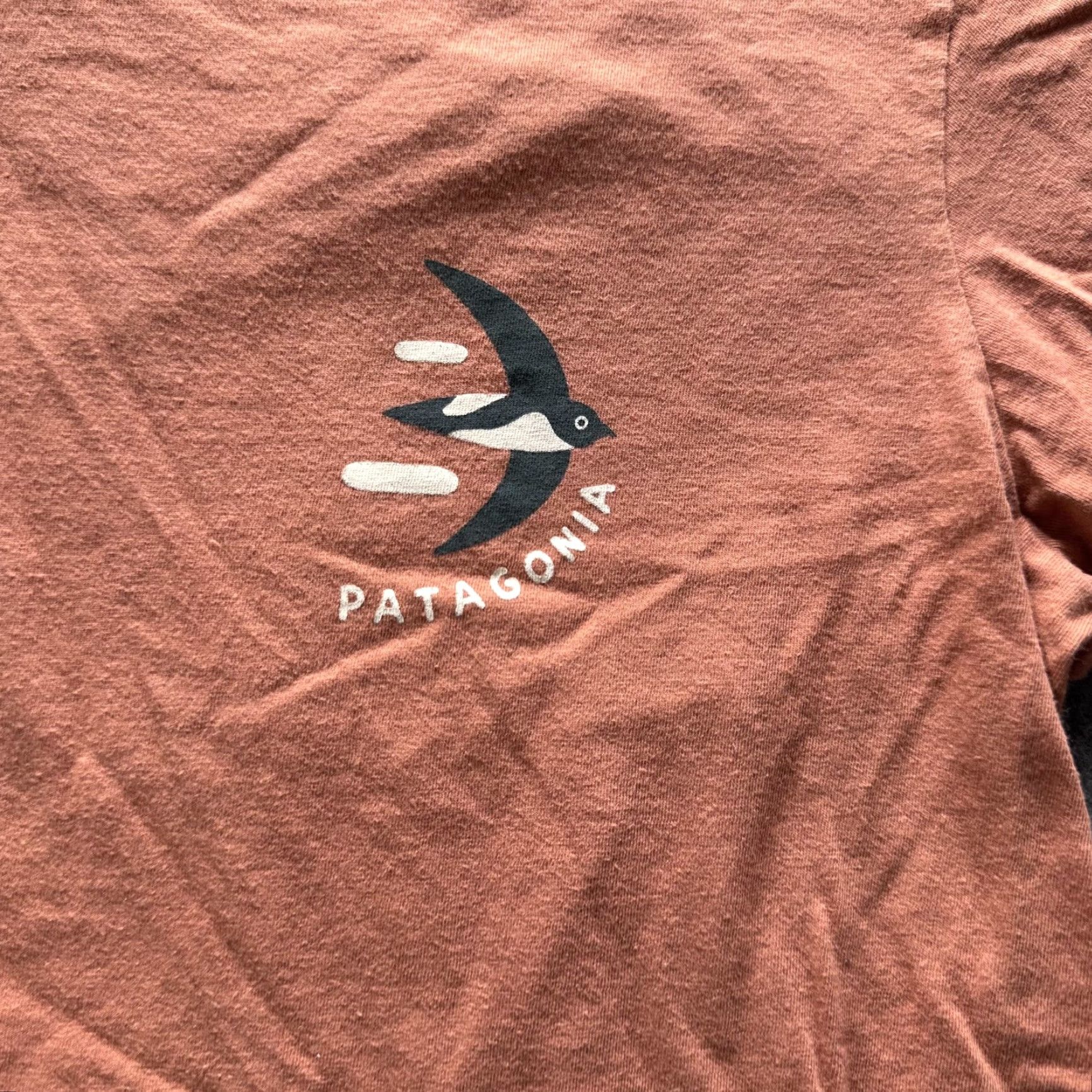 Patagonia Patagonia Shirt Mens Medium Brown Graphic Logo Tee Crewneck Outdoor Casual Size US M / EU 48-50 / 2 - 2 Thumbnail