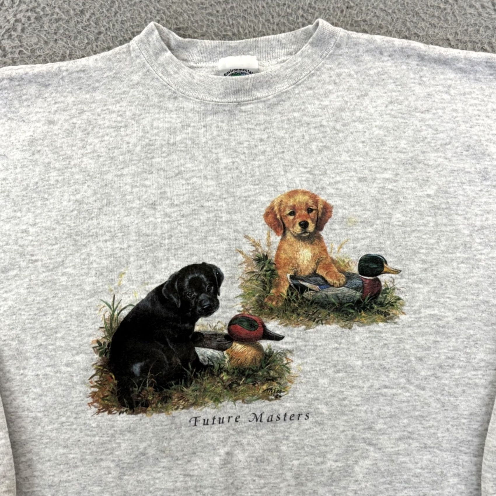 Vintage VINTAGE Enviromental Artwear Sweatshirt Mens Large Blue Dog Nature Pullover Graphic Print Crew Neck Long Sleeve 90s Size US M / EU 48-50 / 2 - 3 Thumbnail