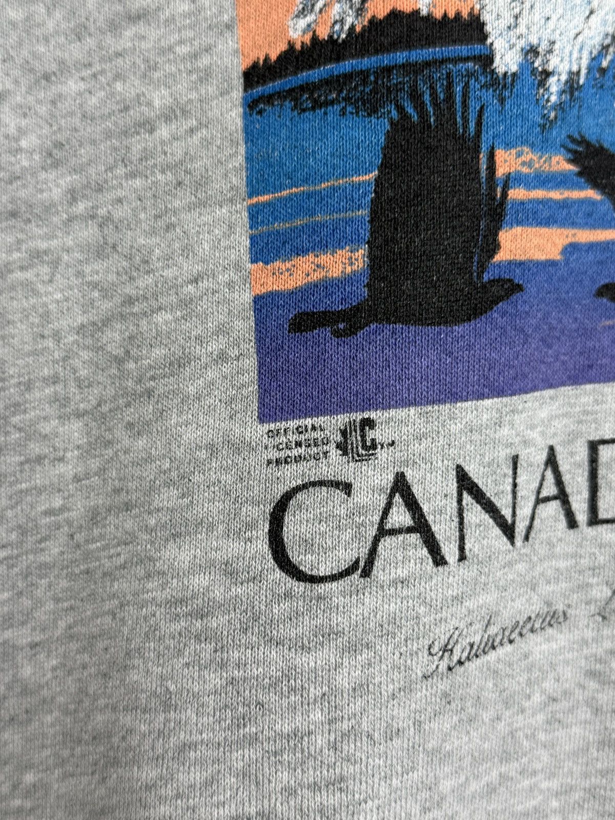 Fruit Of The Loom Vintage 90s Fruit of the loom boxy eagle sweatshirt XL USA Size US XL / EU 56 / 4 - 4 Thumbnail