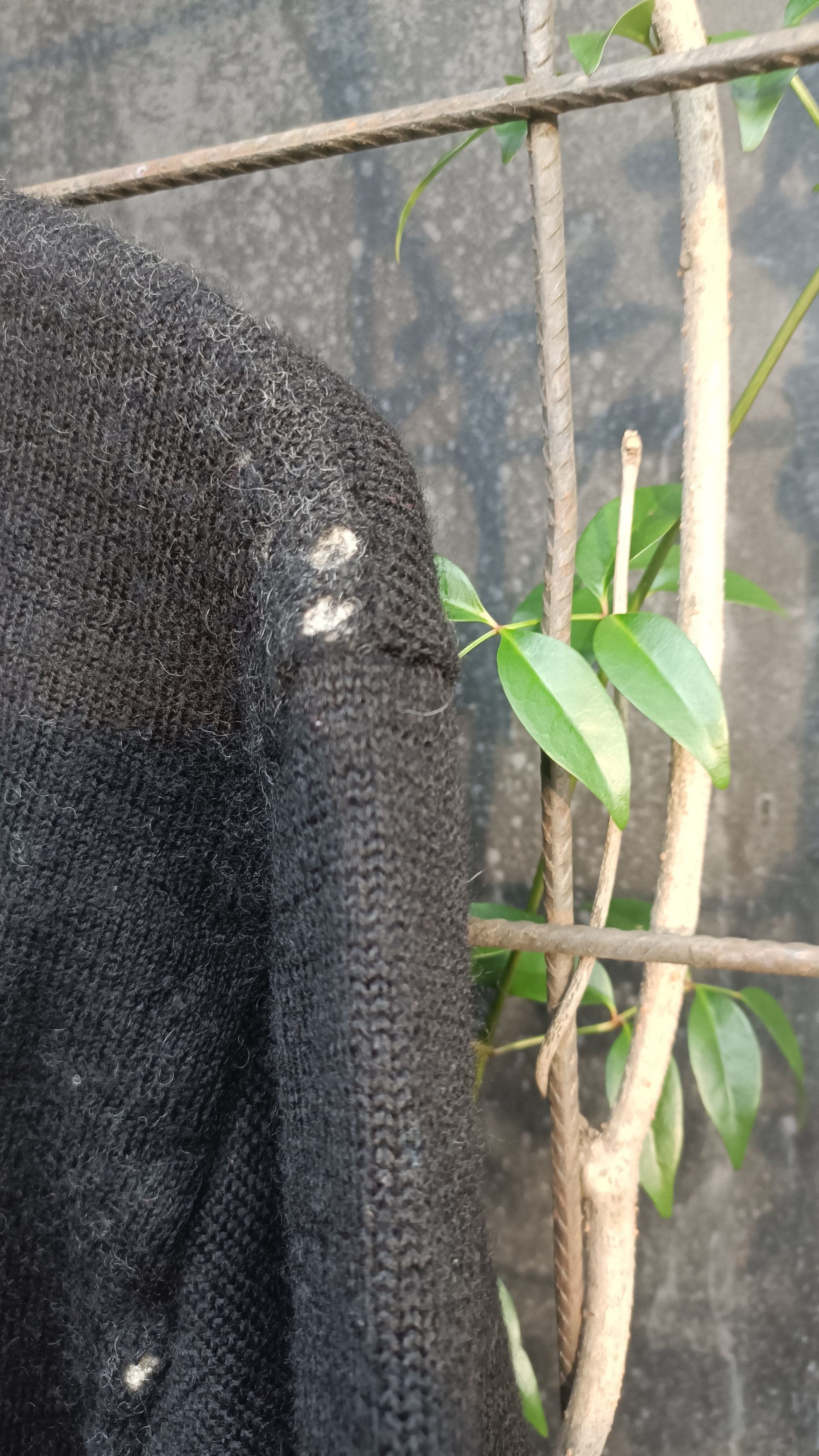 Hai Sporting Gear × Japanese Brand Hai sporting gear knitwear Made japam Size US M / EU 48-50 / 2 - 10 Thumbnail