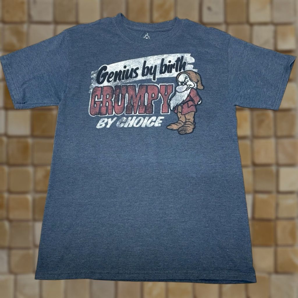 Hanes VINTAGE Hanes T-Shirt Men Medium Gray Cotton Blend Short Sleeve Disneyland “Genius By Birth Grumpy By Choice” Size US M / EU 48-50 / 2 - 1 Thumbnail