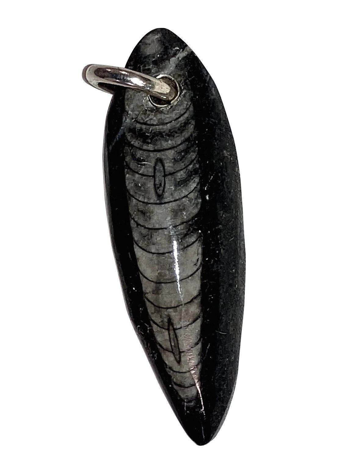 Handmade Hand Made Sterling Silver Polished Orthoceras Fossil Pendant Size ONE SIZE - 1 Thumbnail