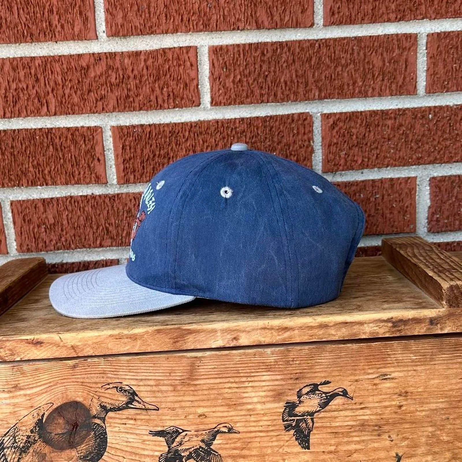 Warner Bros Vintage 90s dallas cowboys x Looney tunes taz snapback hat Size ONE SIZE - 3 Thumbnail