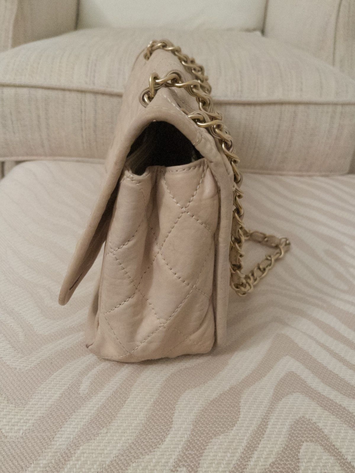 Chanel Chanel Natural Beauty Reissue Flap Bag Size ONE SIZE - 5 Thumbnail