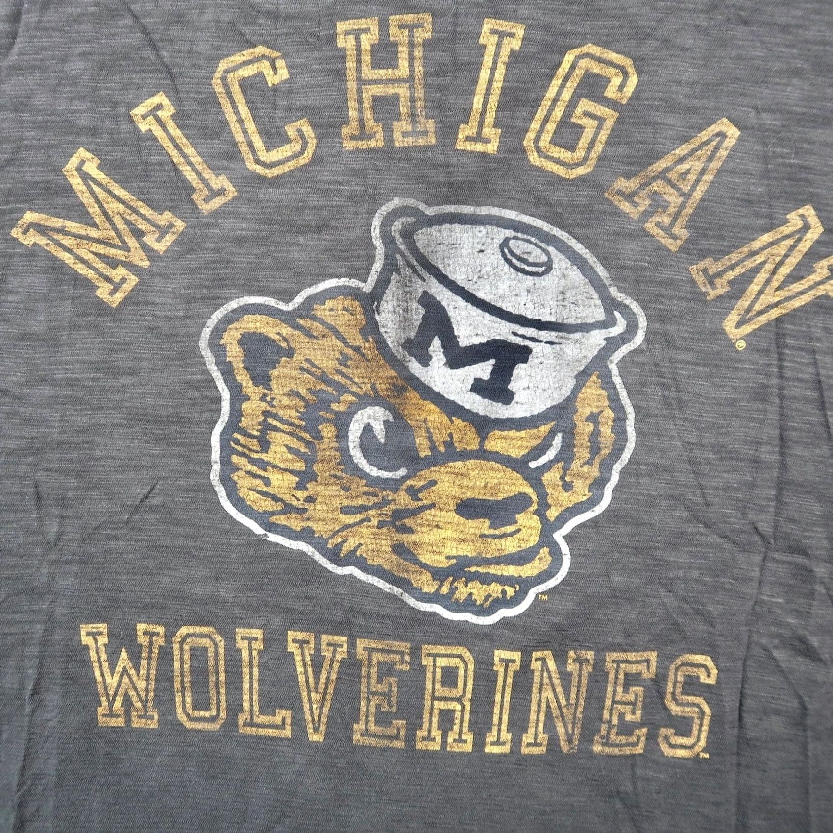 47 47 Brand Michigan Wolverines T-Shirt Mens Medium M Gray Mascot Graphic Size US M / EU 48-50 / 2 - 4 Thumbnail