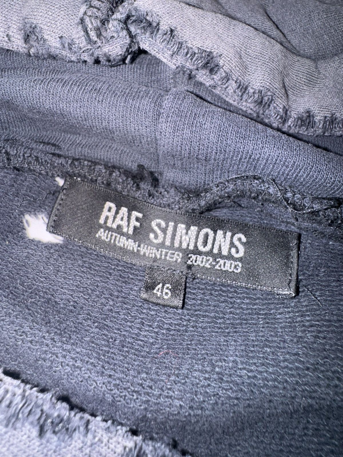 Raf Simons Raf Simons AW2001-2002 Virginia Creeper hoodie RARE Size US M / EU 48-50 / 2 - 3 Thumbnail