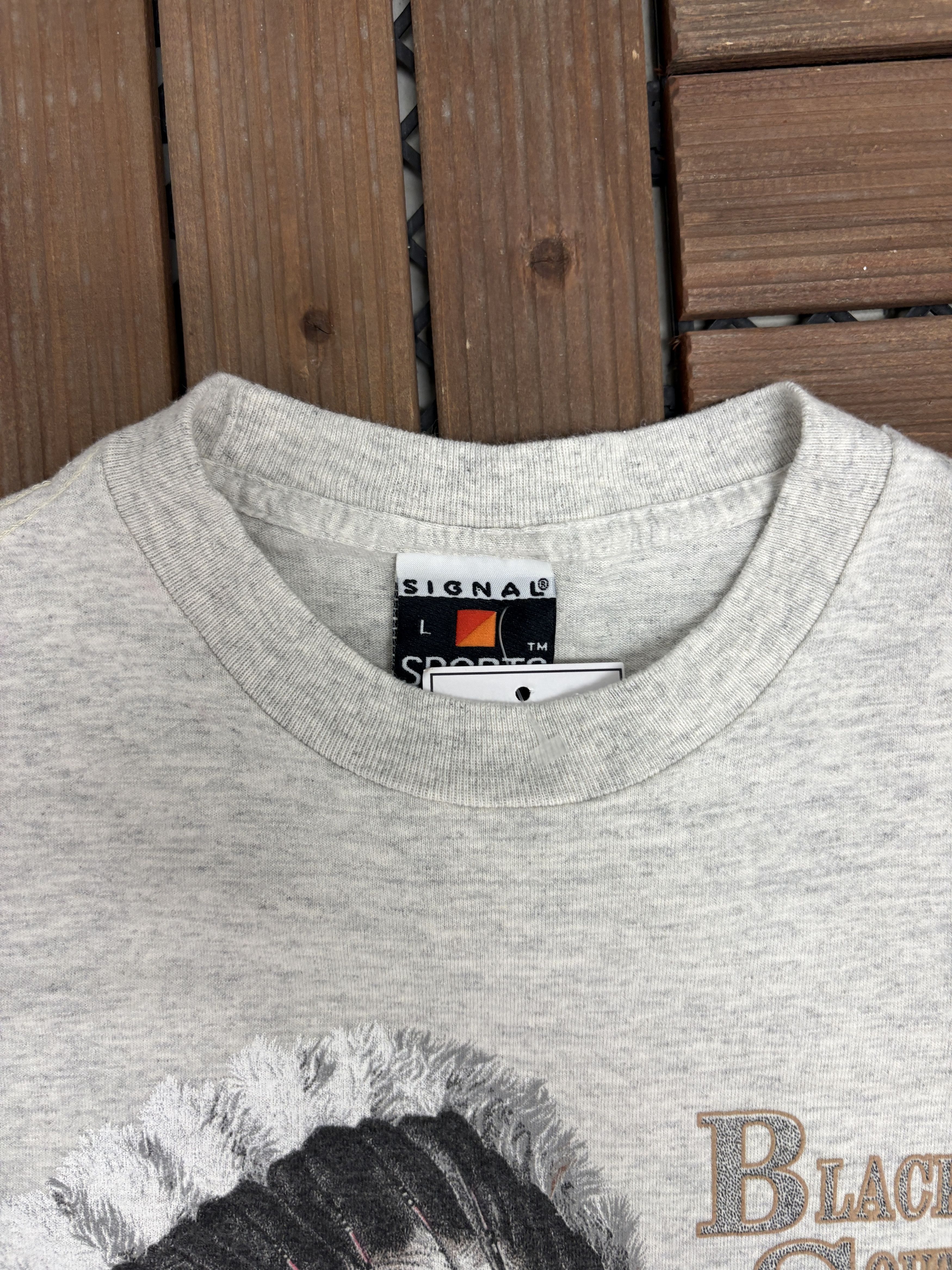 Vintage Black Hills, South Dakota Scenic Vintage Grey Tee Size US L / EU 52-54 / 3 - 6 Thumbnail