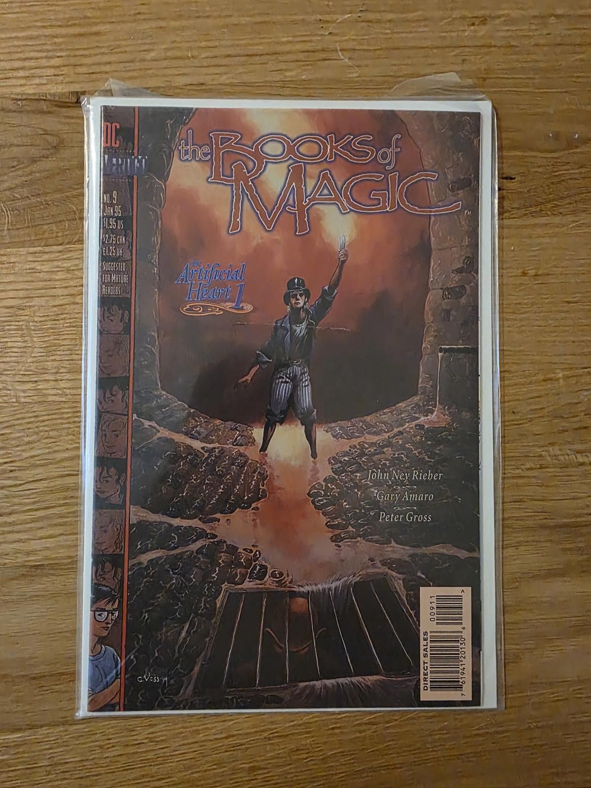 DC Comics The Books of Magic Comic Book Issue 9 C Size ONE SIZE - 2 Thumbnail