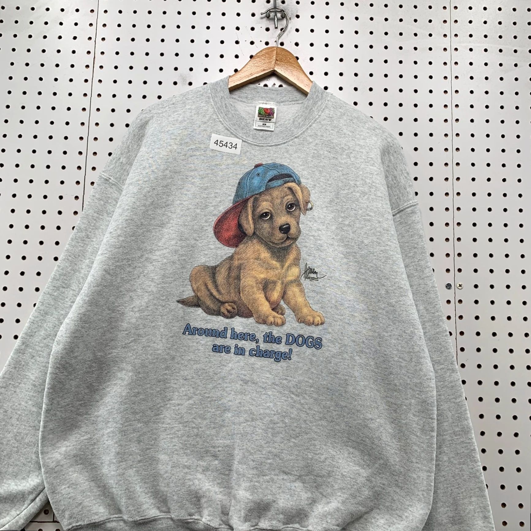 Fruit Of The Loom Vintage Sweatshirt Mens XL Gray Fleece Dog Puppy Funny Golden Retriever Size US XL / EU 56 / 4 - 2 Thumbnail