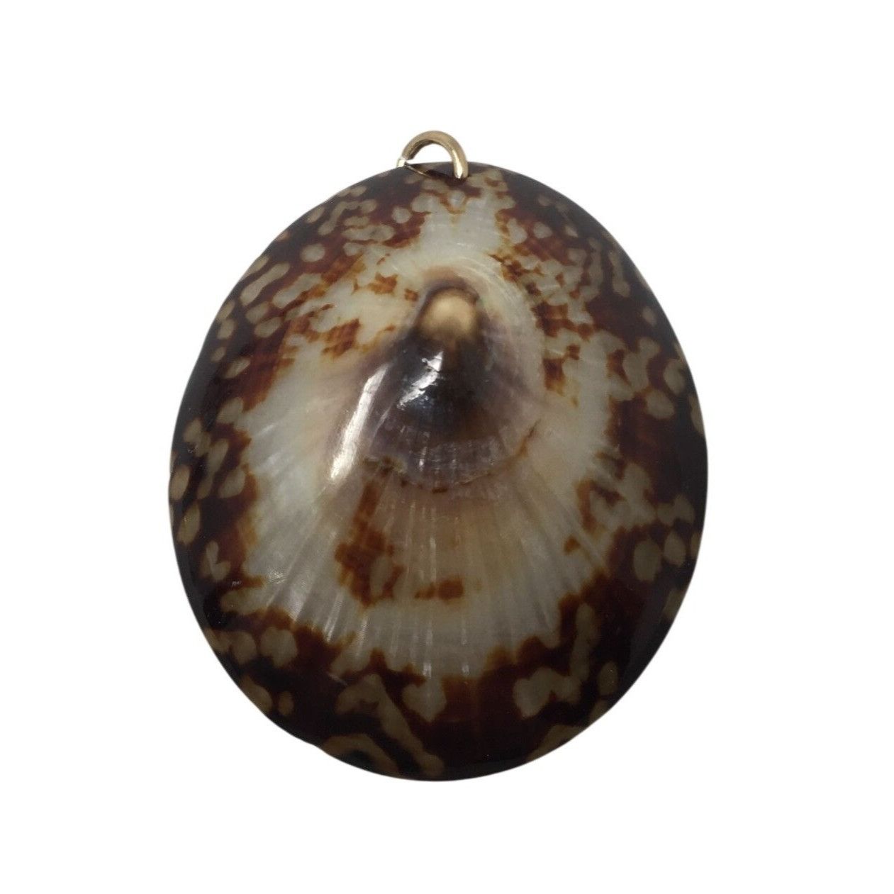 Other Vintage Brown/White Sea Shell Pendant For Necklace Size ONE SIZE - 1 Thumbnail
