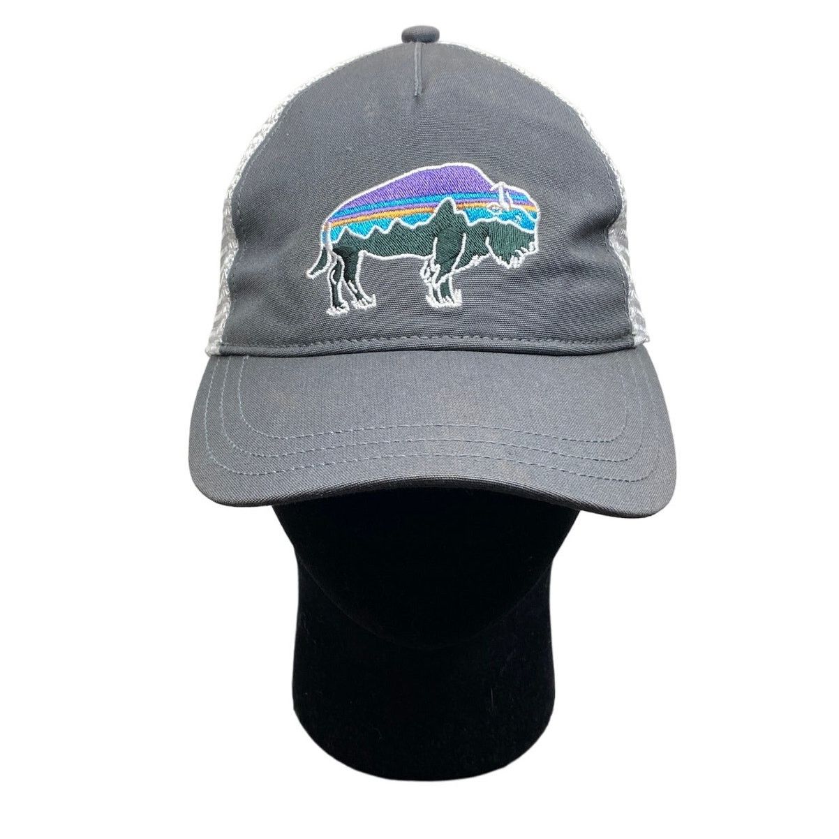 Patagonia Patagonia Fitz Roy Bison Trucker Hat Snapback Adjustable Size ONE SIZE - 1 Thumbnail