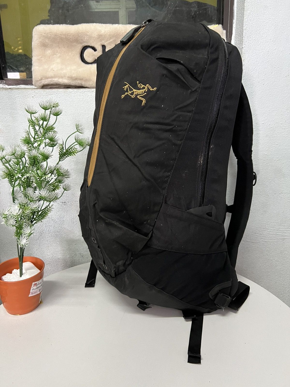 Arc'teryx Arcteryx ARRO 22 Backpack Size ONE SIZE - 4 Thumbnail