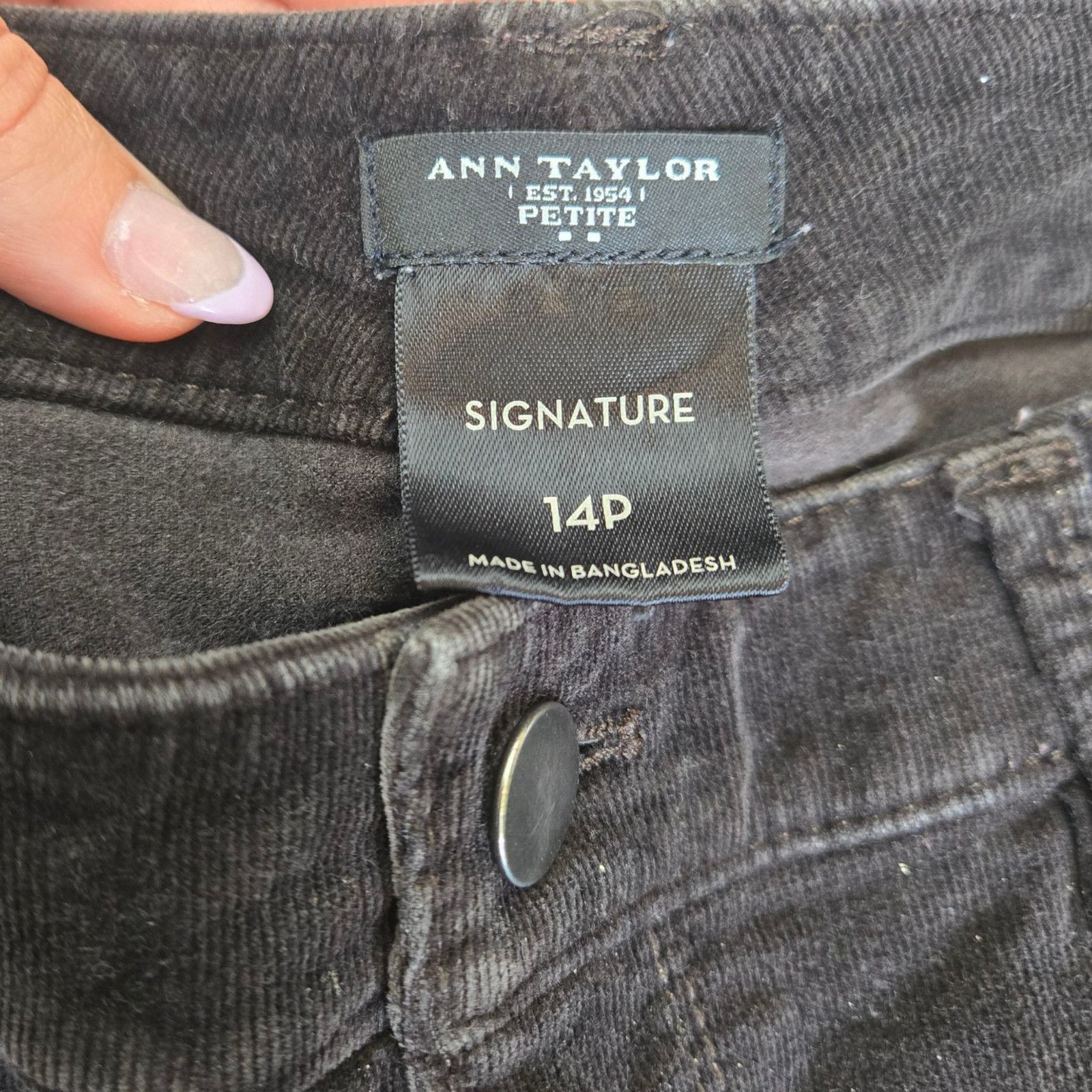 Ann Taylor Ann Taylor Brown Straight Velveteen Pants Size 14P Size 36" / US 14 / IT 50 - 6 Thumbnail