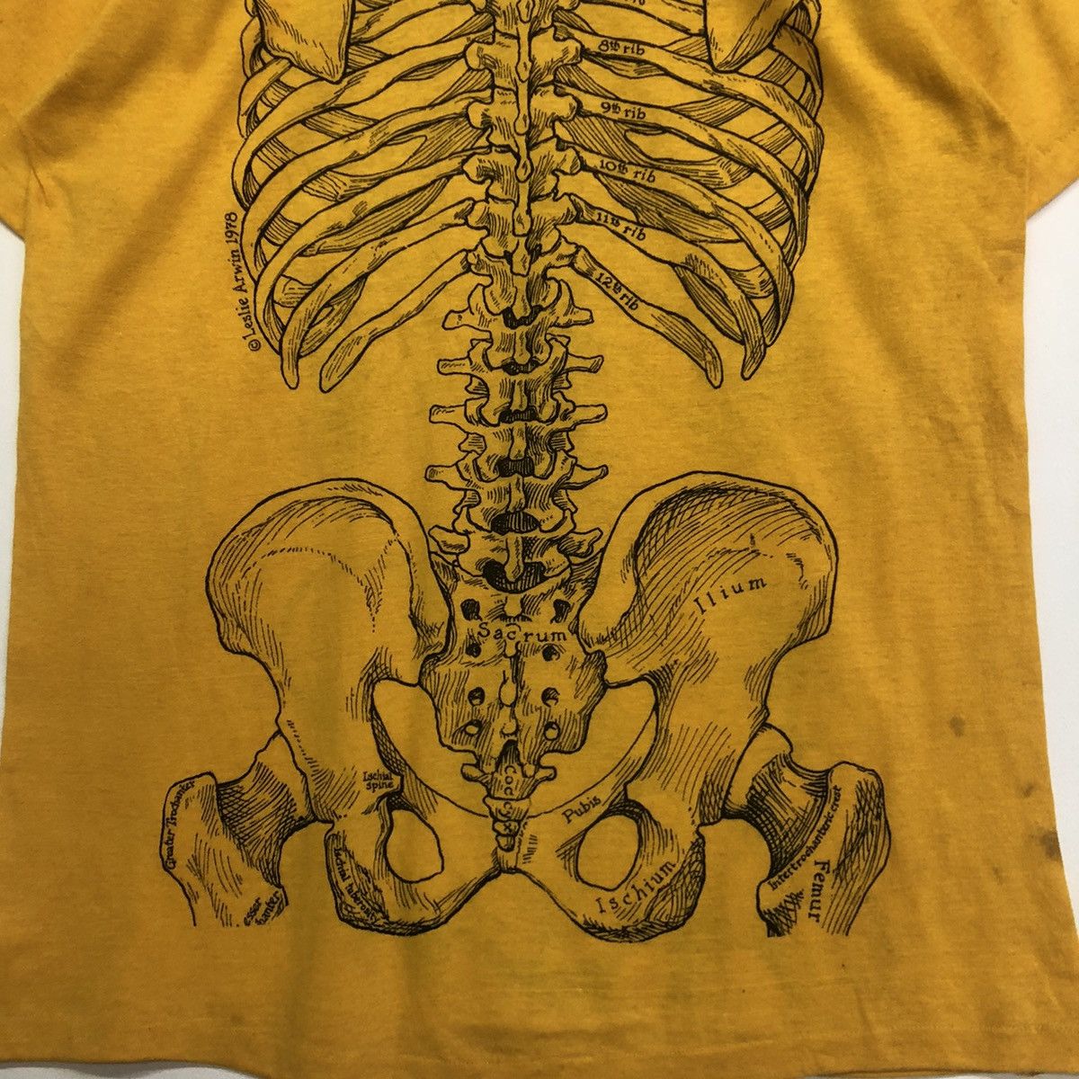 Art Comes First VINTAGE ART LESLIE ARWIN 1978 ANATOMY SKULL BONES TSHIRT Size US L / EU 52-54 / 3 - 11 Thumbnail