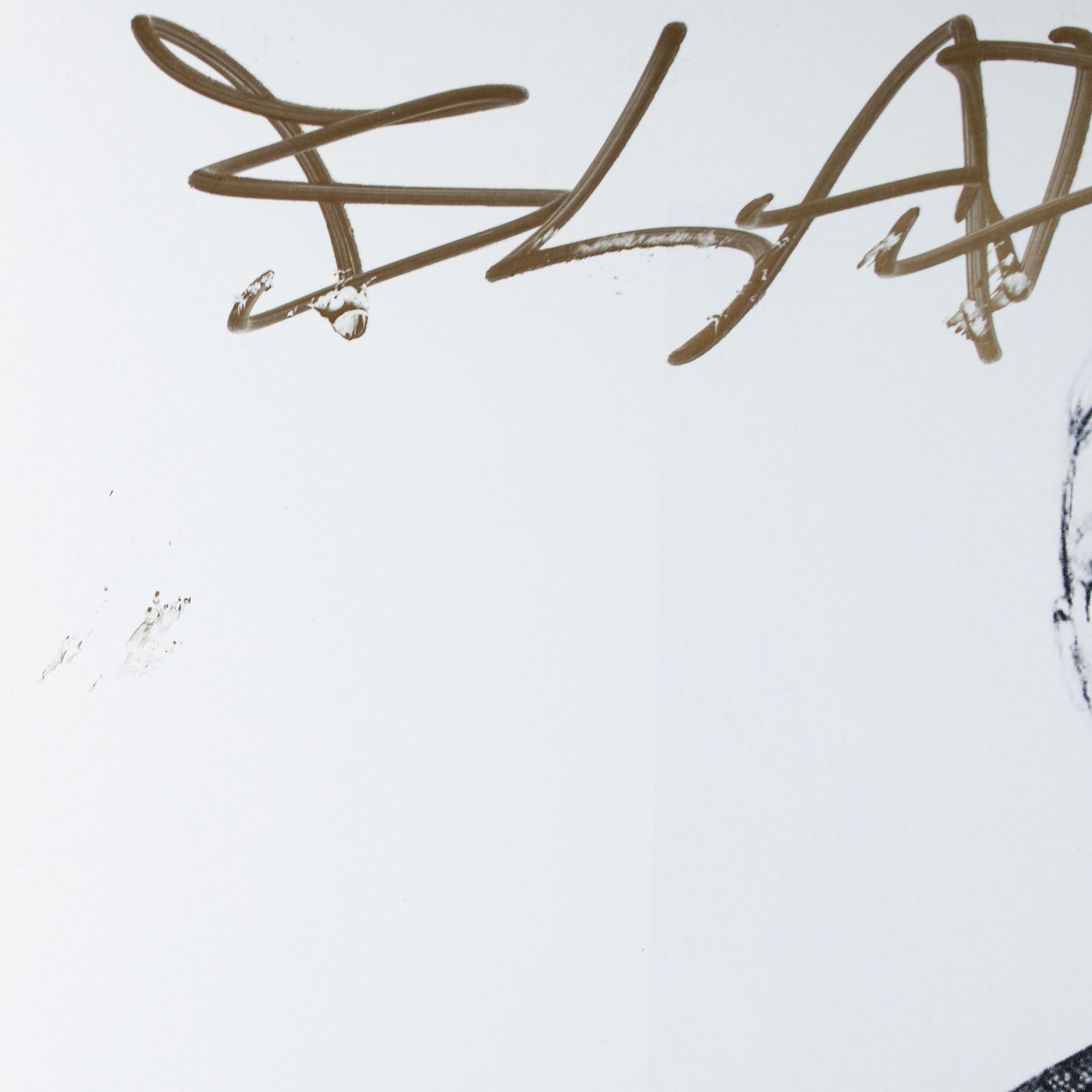 Drain Gang × Sad Boys BLADEE VINYL EVERSINCE SIGNED AUTOGRAPHED Ecco2k Size ONE SIZE - 4 Thumbnail