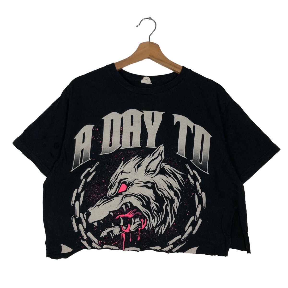Band Tees 🔥Pick Distressed Seditionaries Cropped Tee Band A Day To Size US M / EU 48-50 / 2 - 2 Thumbnail