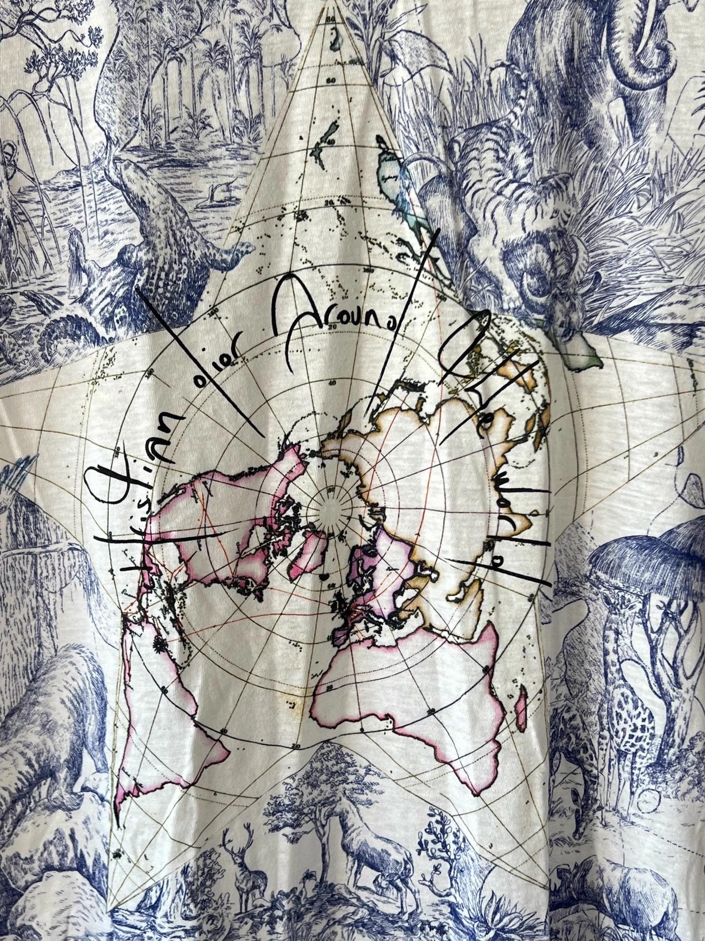 Dior Dior Map Animal Print T - shirt XS CD Bee Back Size XS / US 0-2 / IT 36-38 - 5 Thumbnail