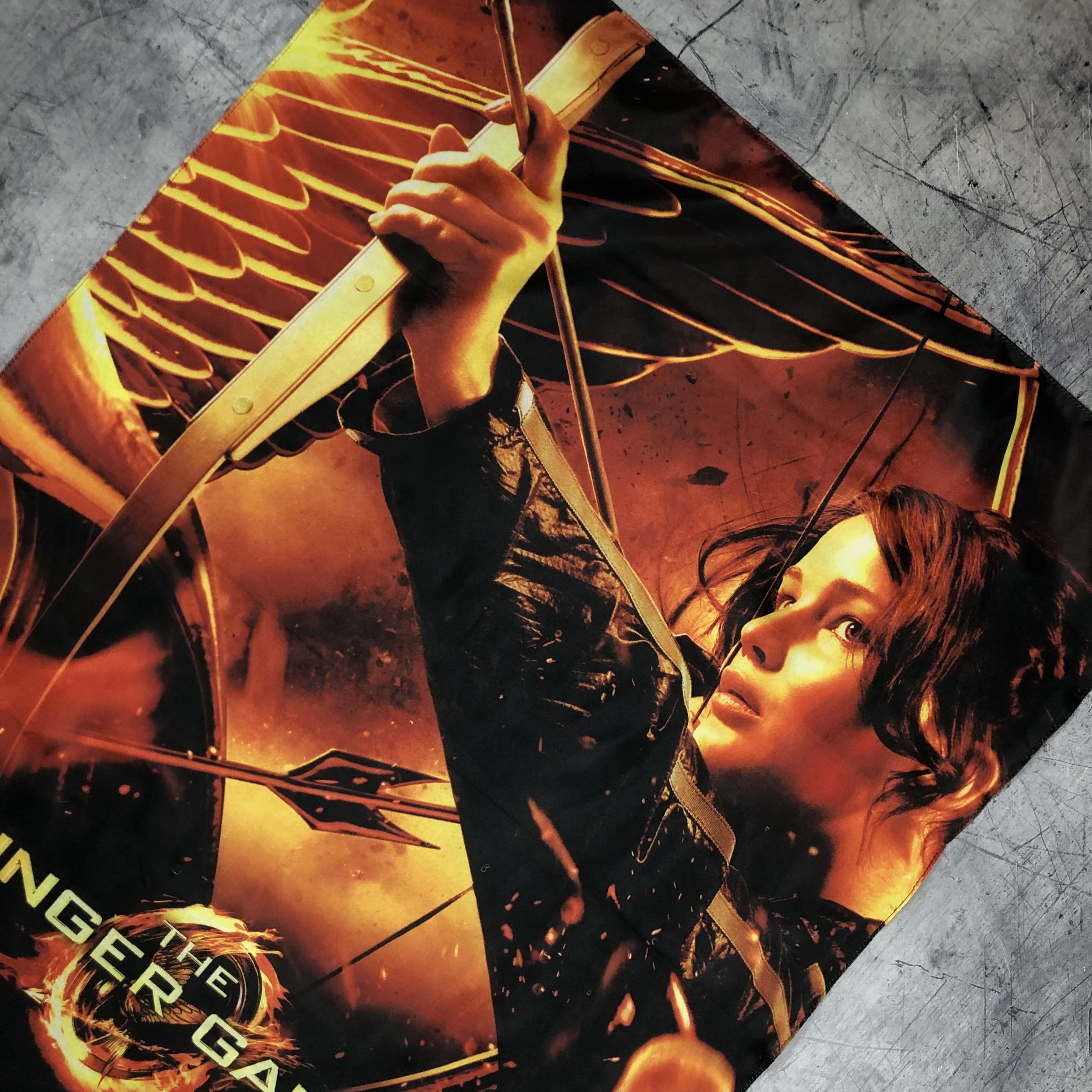 Expert Horror 2012 Hunger Games Dystopian Flag Poster Size ONE SIZE - 4 Thumbnail