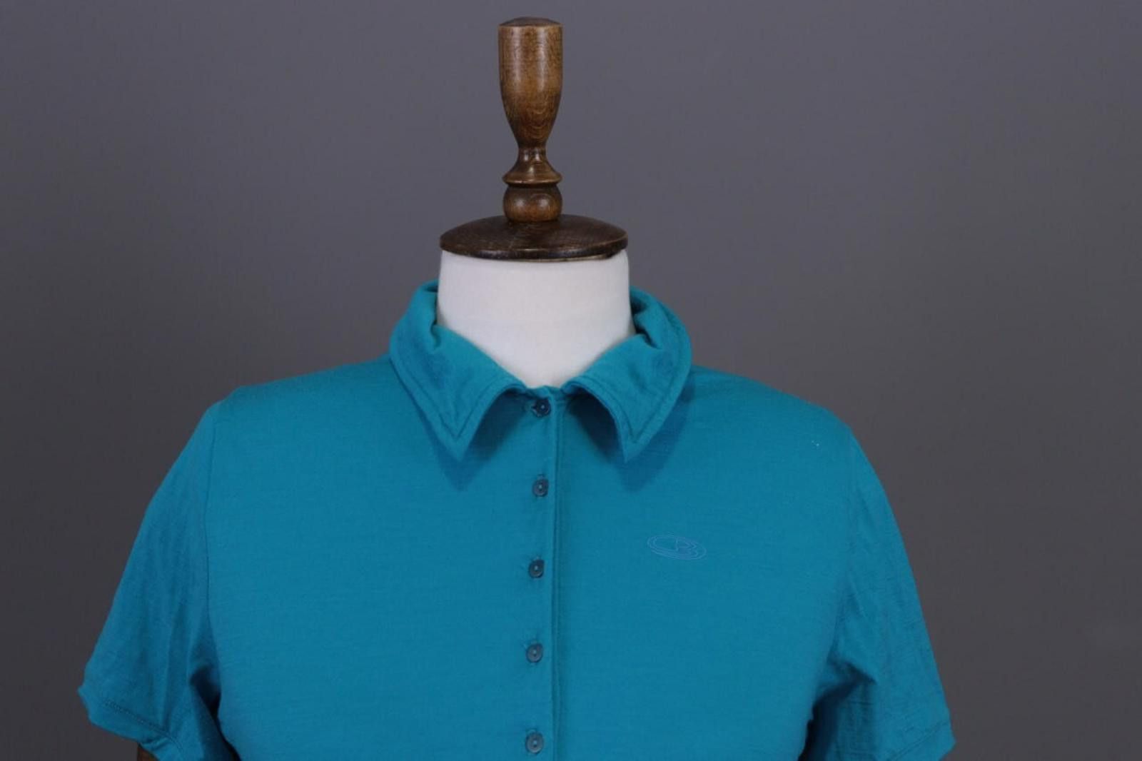 Icebreaker Icebreaker New Zeland Merino Wool T-Shirt Size M Size M / US 6-8 / IT 42-44 - 2 Thumbnail