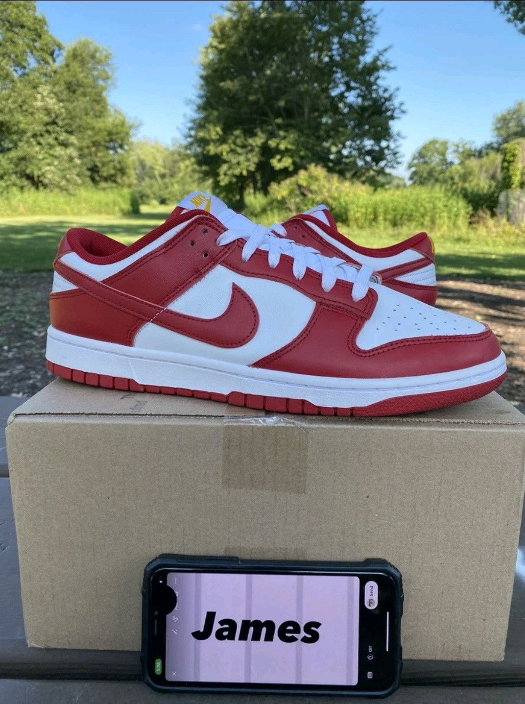 Nike Nike Dunk Low Gym Red DD1391602 Size 11 Men Size US 11 / EU 44 - 1 Thumbnail