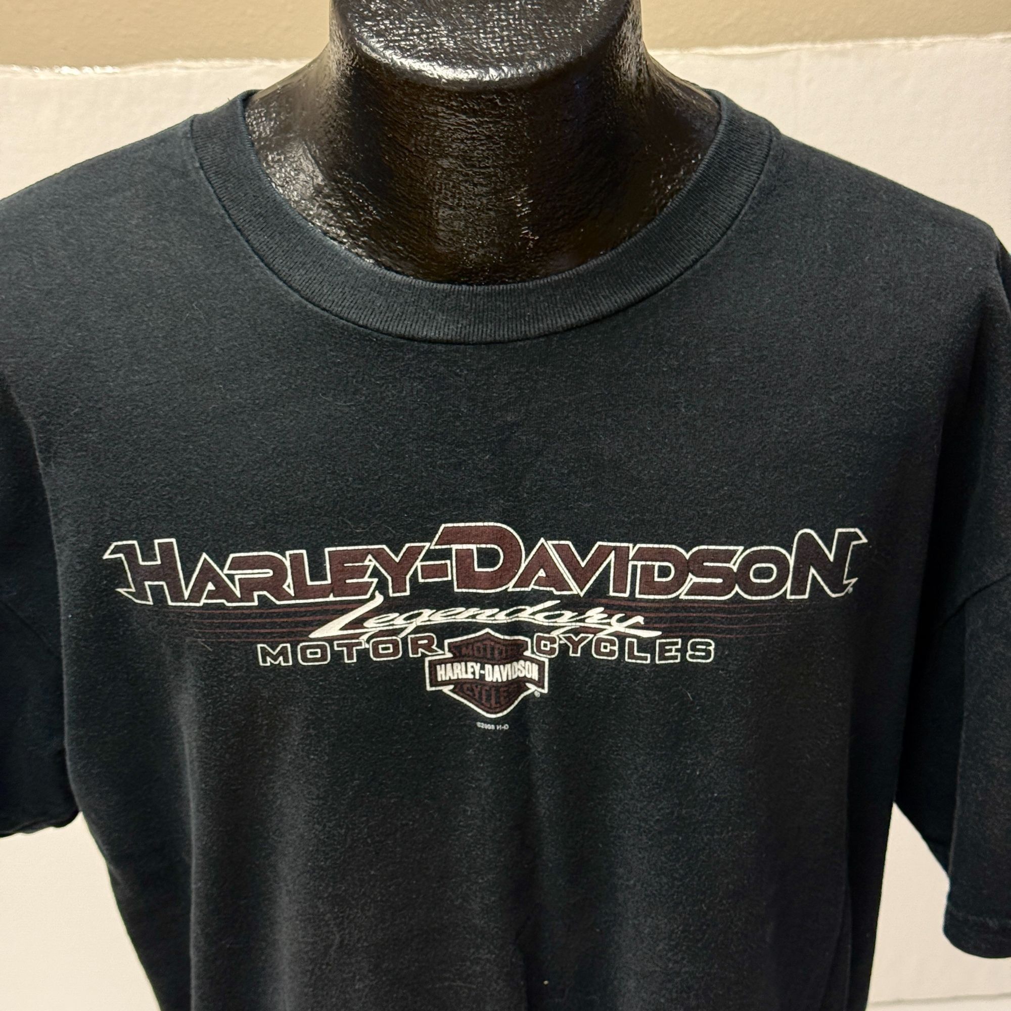 Harley Davidson 2008 Motorcycles Southtowns BUFFALO New York Biker T Shirt Size US M / EU 48-50 / 2 - 12 Thumbnail
