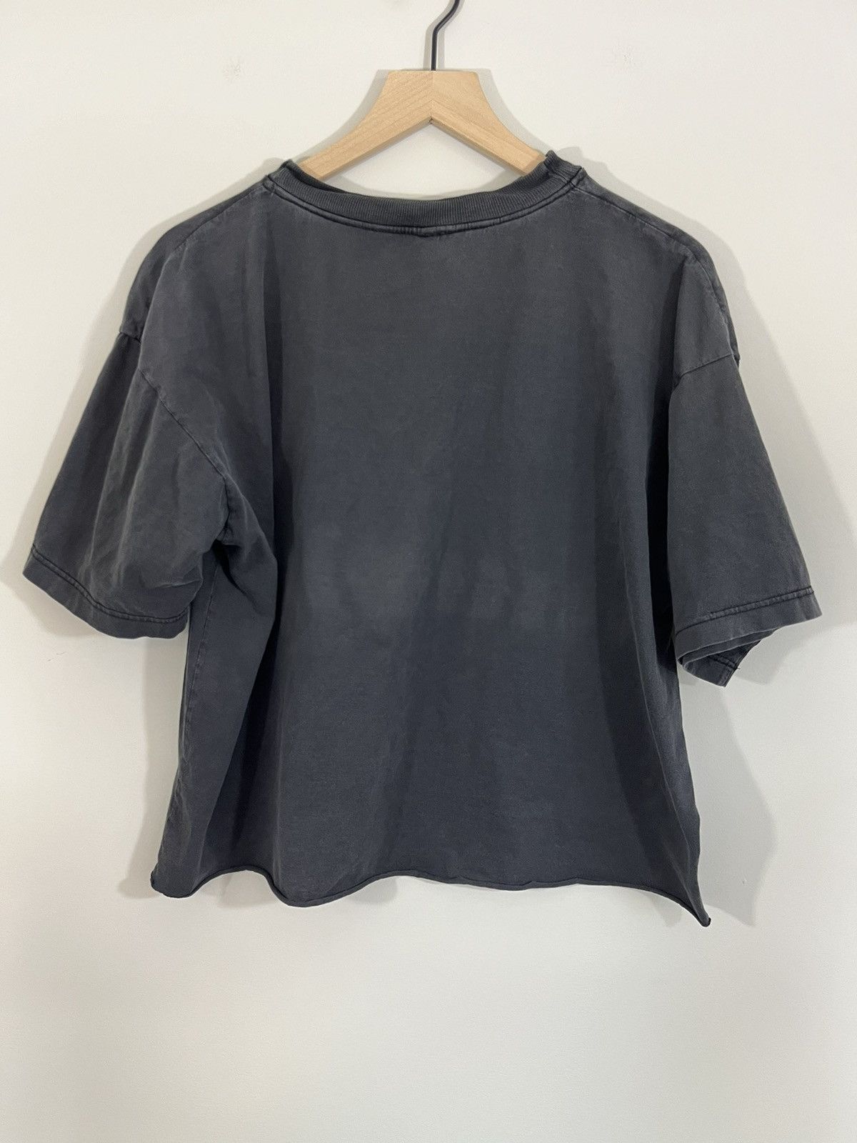 Vintage Sun Faded Thrashed Wild And Free Cropped Horse Tee Size US XL / EU 56 / 4 - 7 Thumbnail
