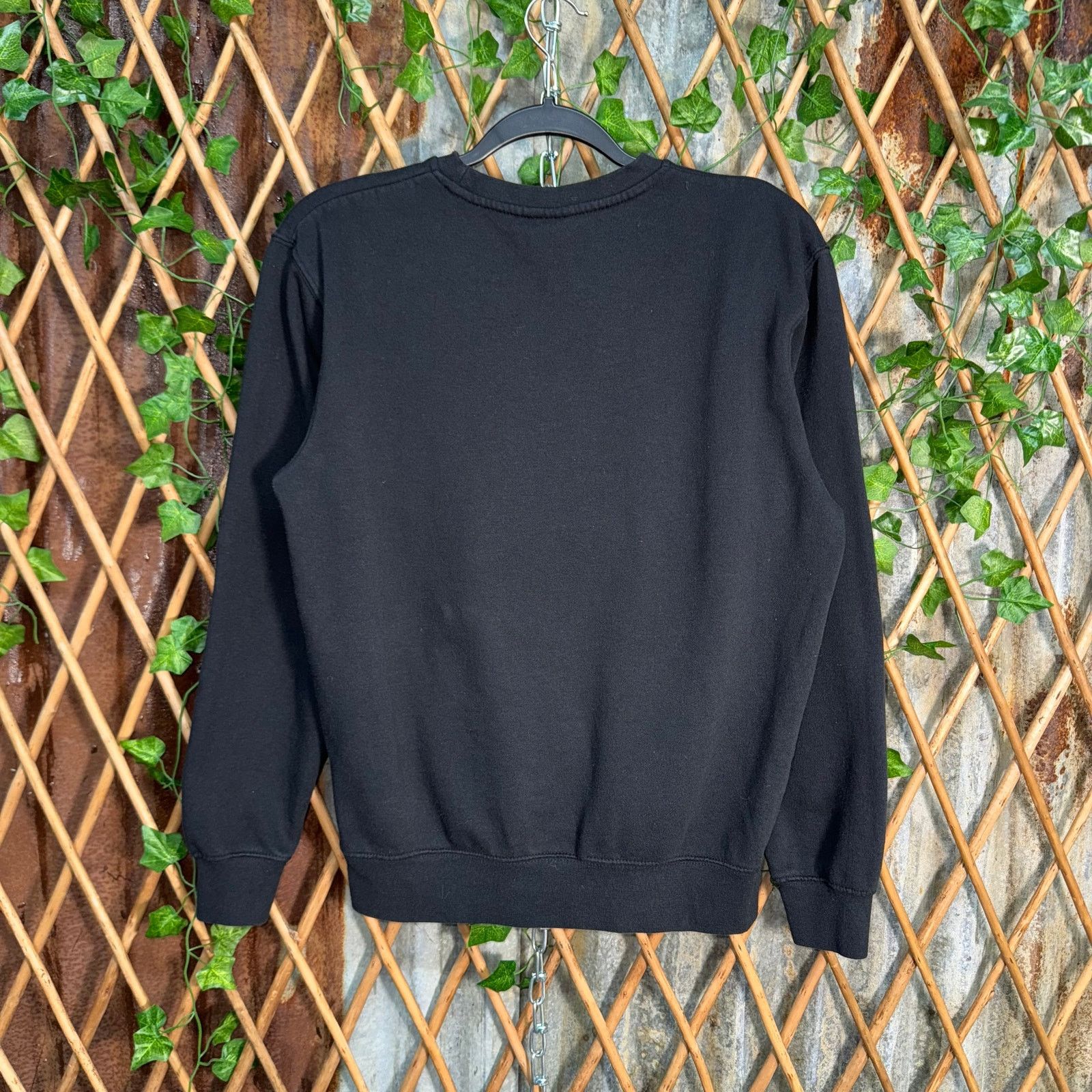 Vintage Vintage Y2K Iowa University collegiate embroider sweatshirt Size US S / EU 44-46 / 1 - 2 Thumbnail