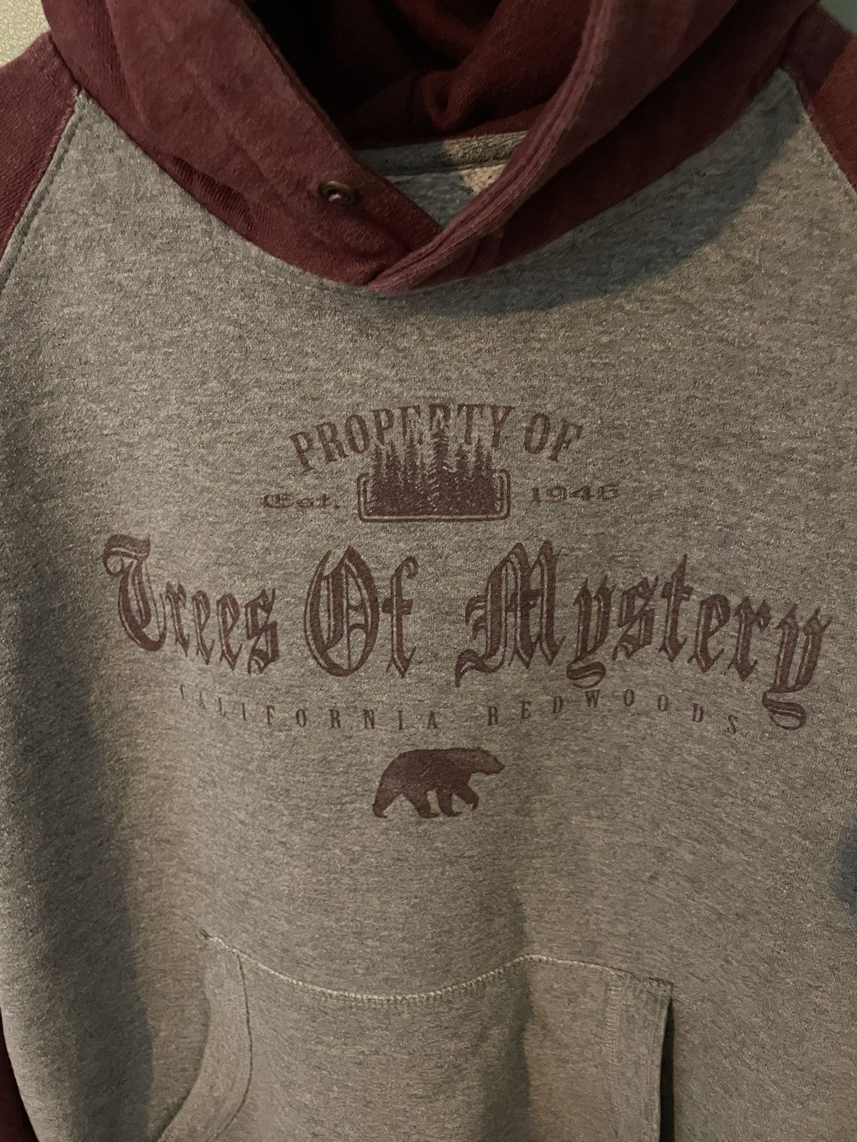 Vintage Vintage “Trees of Mystery” Redwood hoodie Size US M / EU 48-50 / 2 - 2 Thumbnail
