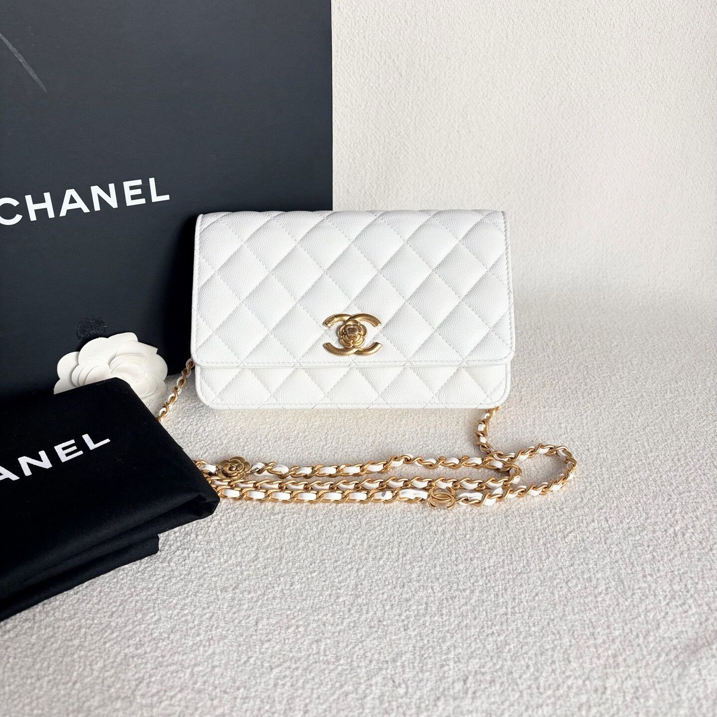 Chanel Pre-loved Bag Very good condition Size ONE SIZE - 1 Thumbnail