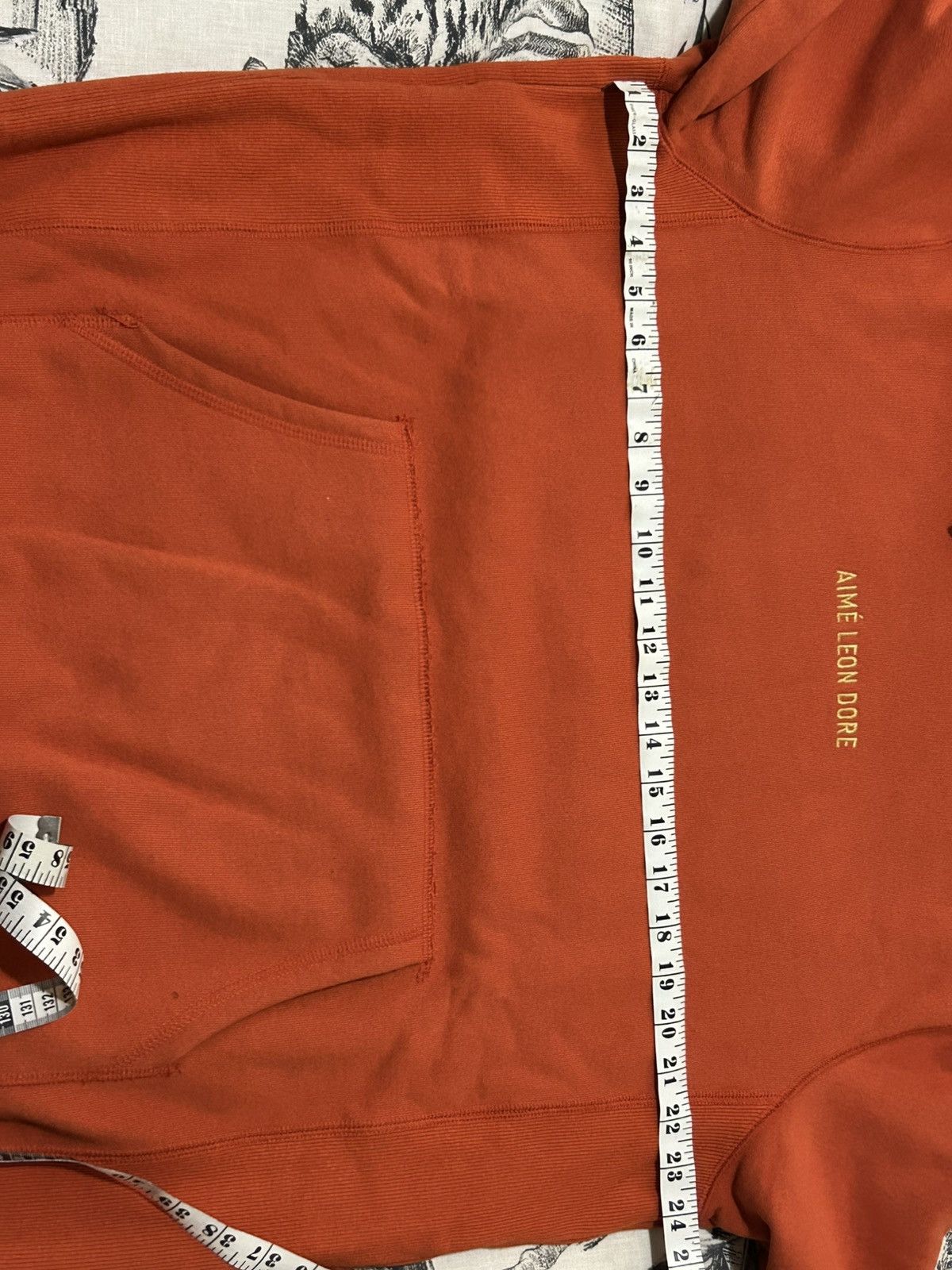 Aime Leon Dore Aimé Leon Dore Embroidery Logo Hoodie Size US L / EU 52-54 / 3 - 8 Thumbnail