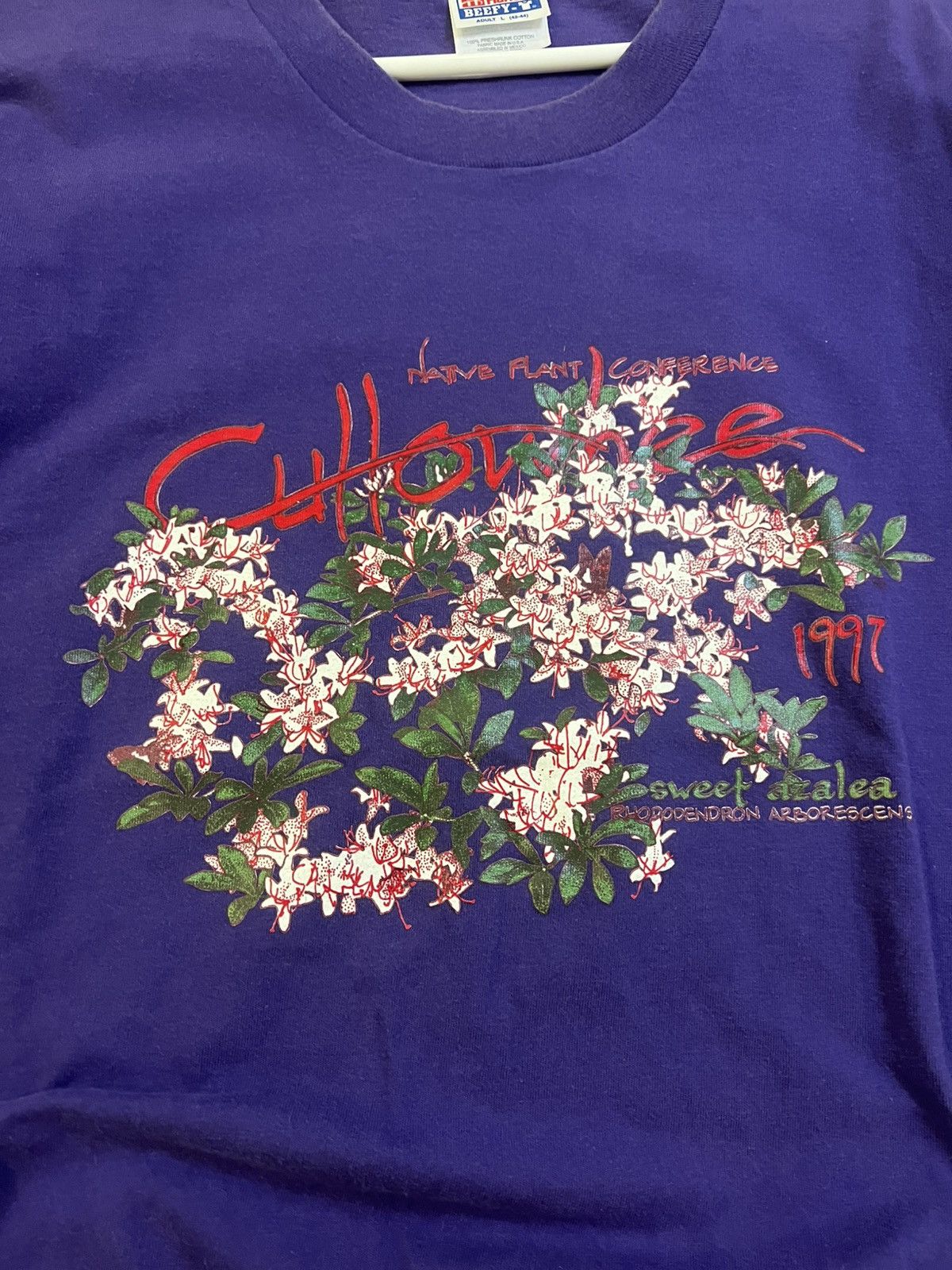 Hanes × Vintage 1997 Native Plant Conference Sweet Azalea Tee Size US L / EU 52-54 / 3 - 2 Thumbnail
