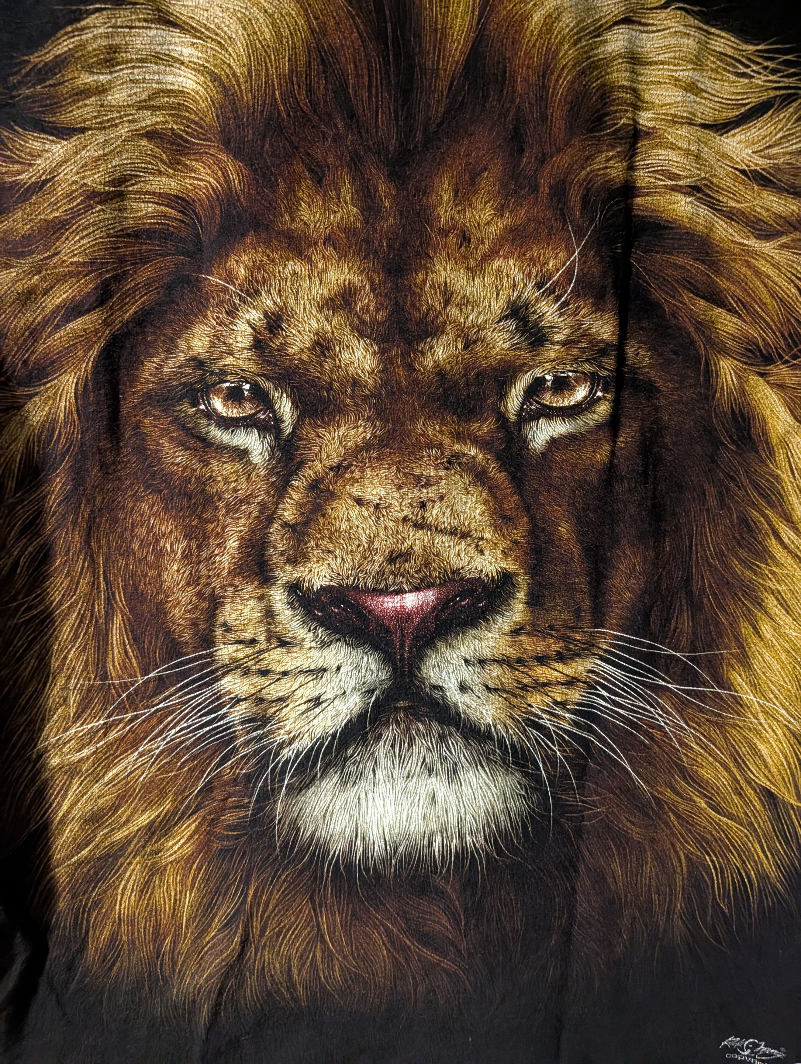 Arts & Science Vintage Y2K Lion Big Cat Animal Nature Wildlife T-Shirt Size US L / EU 52-54 / 3 - 6 Thumbnail