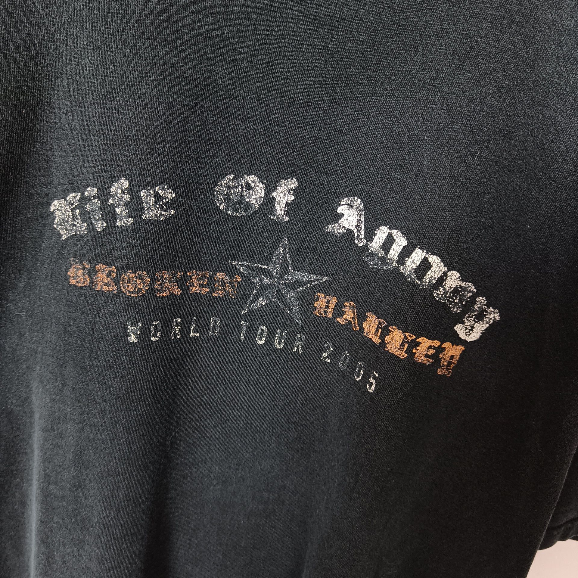 Band Tees Y2K 2005 Life of Agony Band T Shirt Size Large Gildan Size US XL / EU 56 / 4 - 6 Thumbnail