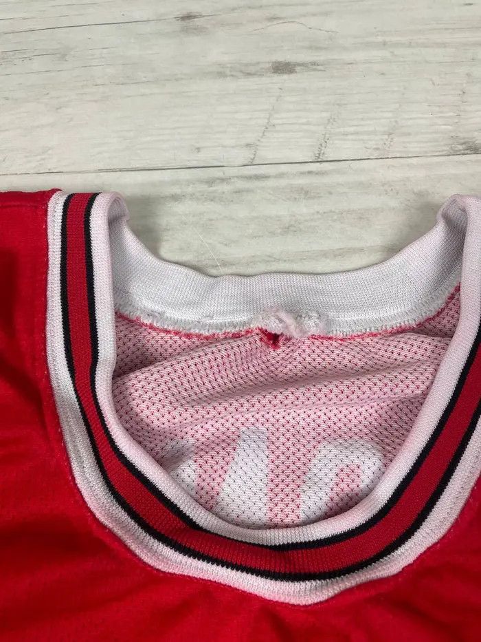 Champion Vintage Champion Chicago Bulls Dennis Rodman #91 NBA Jersey Size US L / EU 52-54 / 3 - 15 Thumbnail
