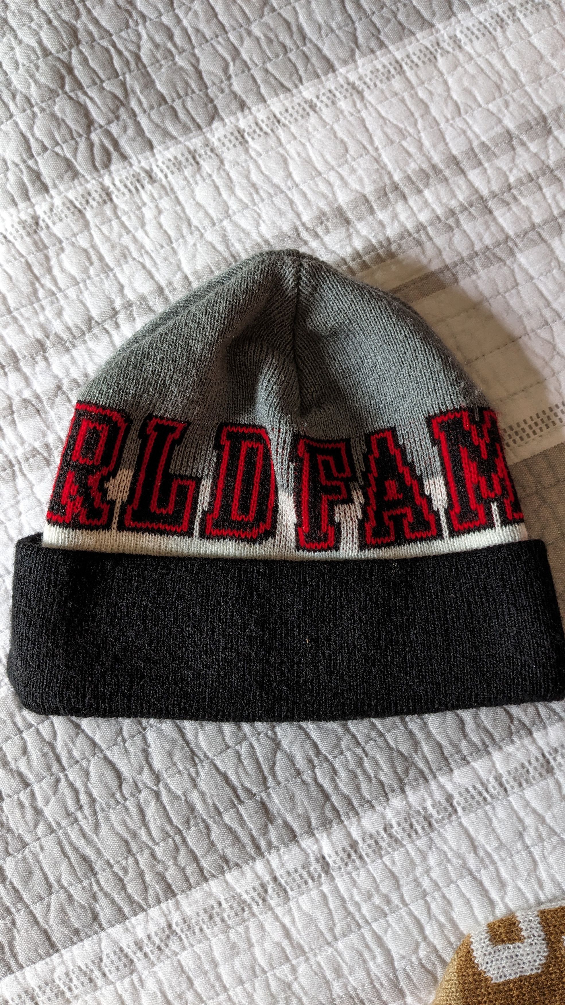Supreme Supreme World Famous Beanie Cap Size ONE SIZE - 1 Thumbnail