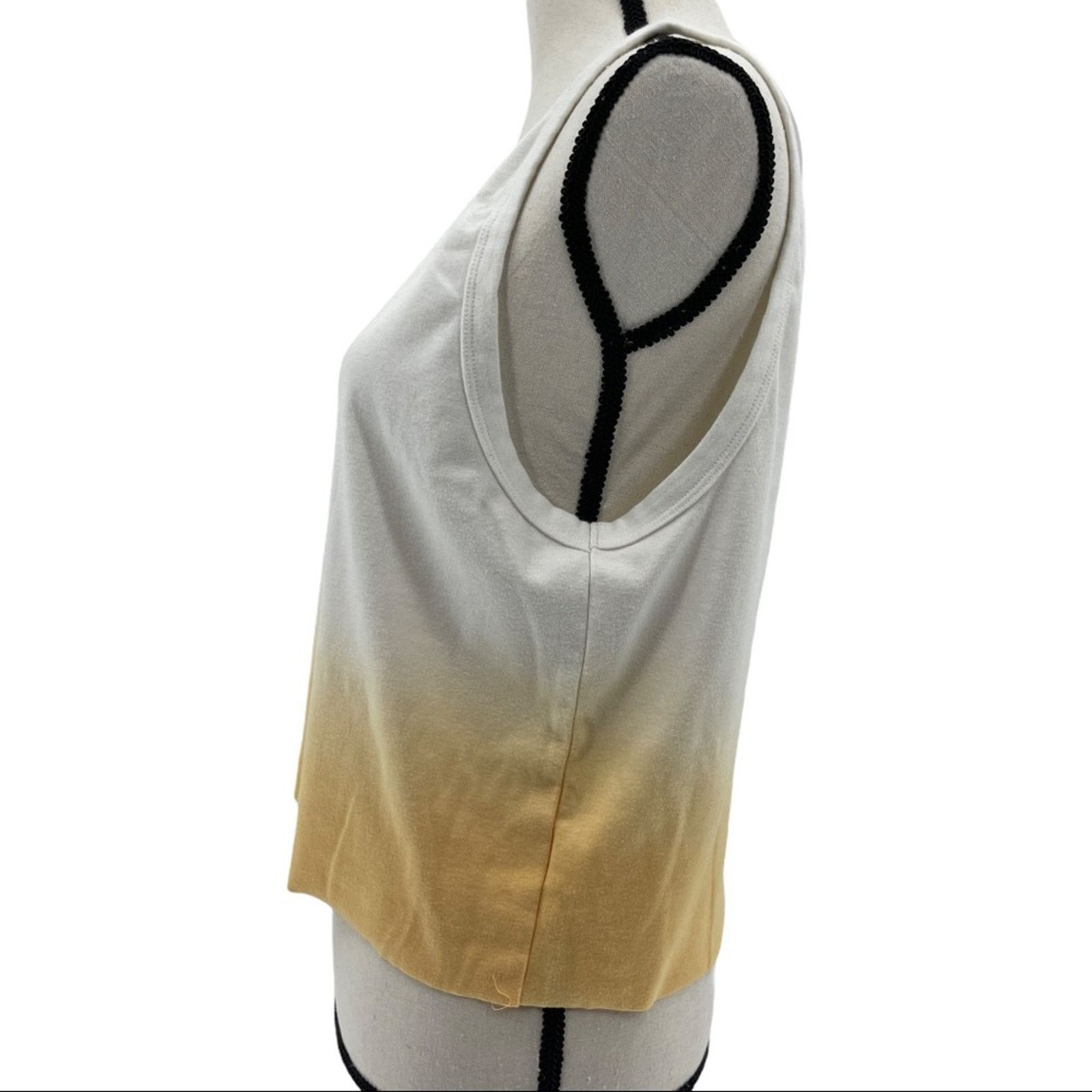 American Eagle Outfitters American Eagle Ombre Raw Hem Tank Top Size L Size L / US 10 / IT 46 - 5 Thumbnail