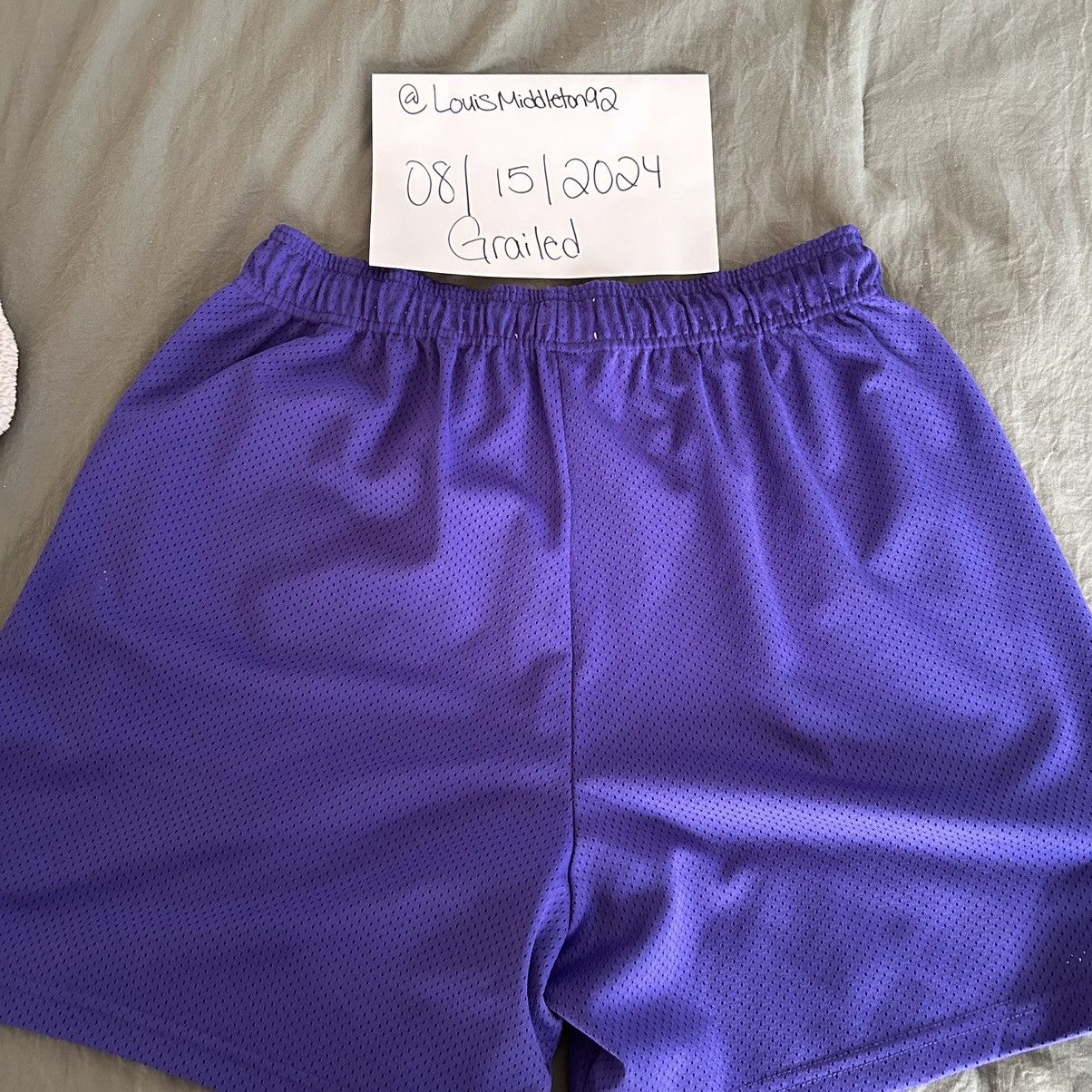 Eric Emanuel Purple Eric Emanuel Shorts Size US 36 / EU 52 - 8 Thumbnail
