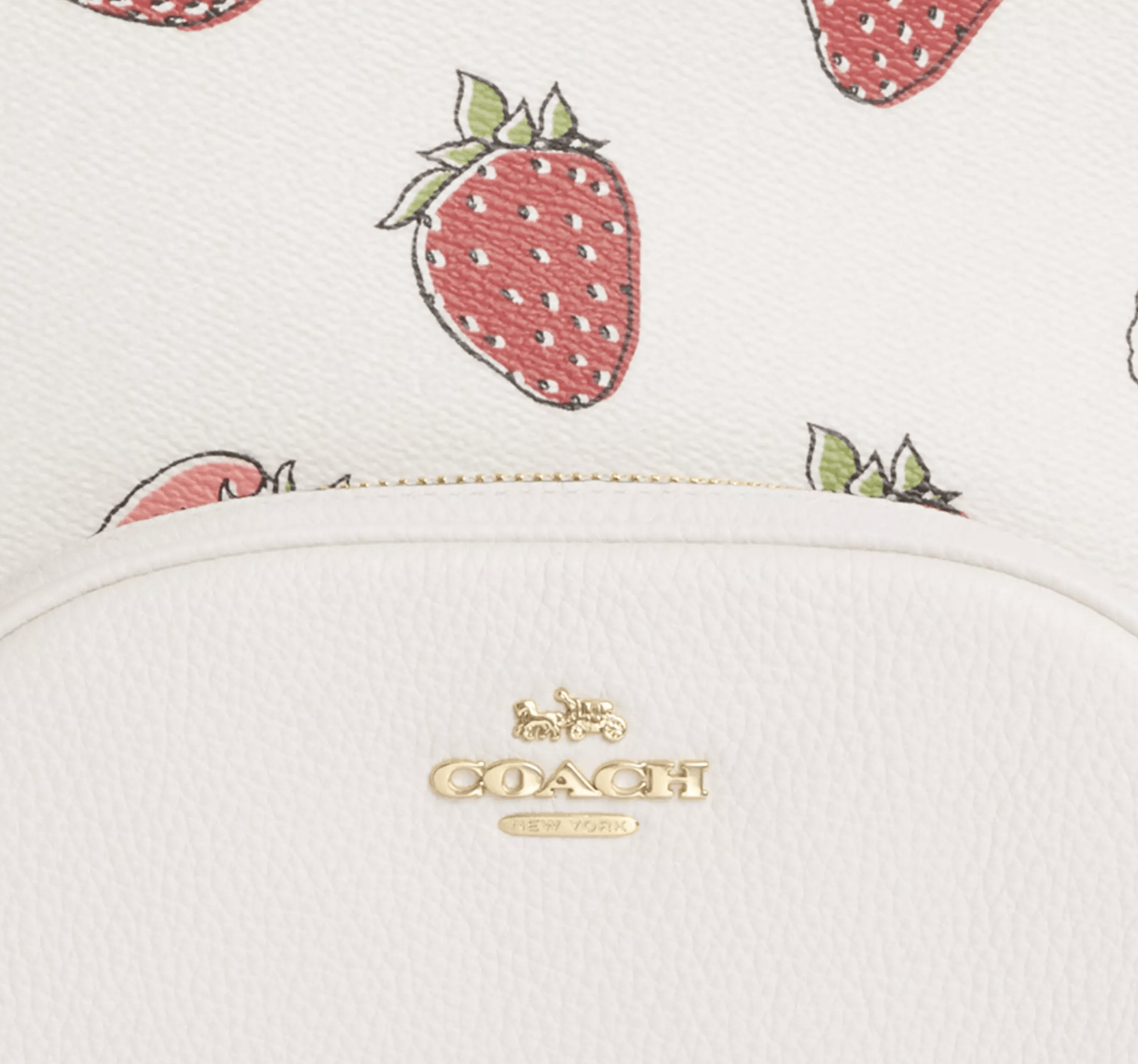 Coach Court Backpack With Strawberry Print CAS94 Size ONE SIZE - 10 Thumbnail
