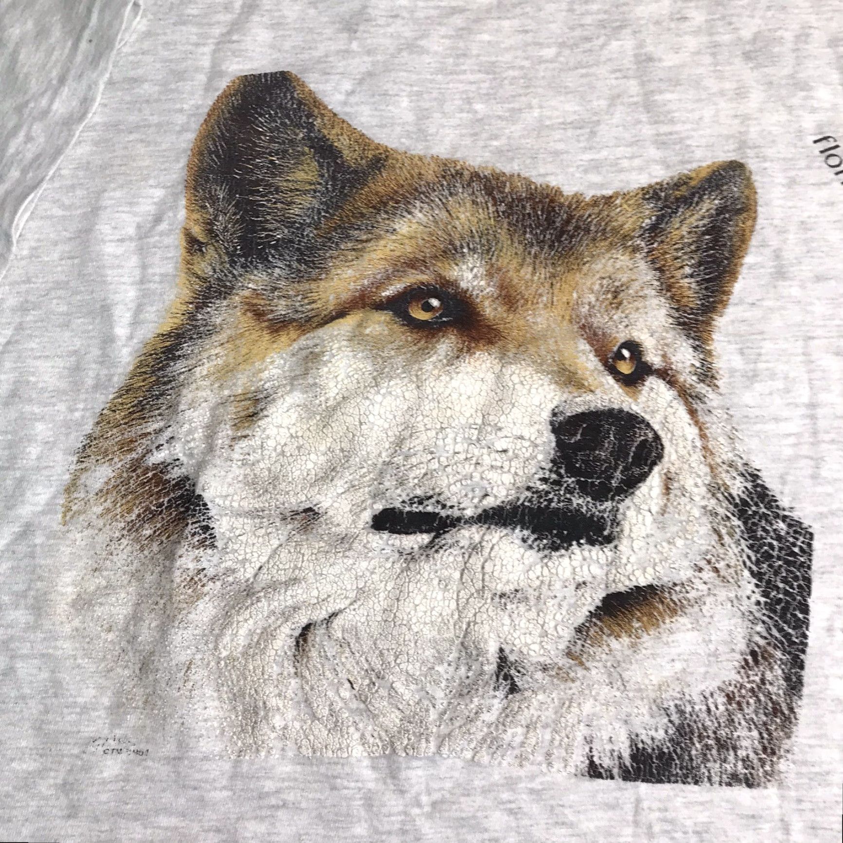 Hanes VINTAGE 90s HANES T-SHIRT Wolf Florida Gray USA Mens 2XL Crew Neck Short Sleeve Cotton Blend Made in USA Nature Wildlife Size US XXL / EU 58 / 5 - 4 Thumbnail
