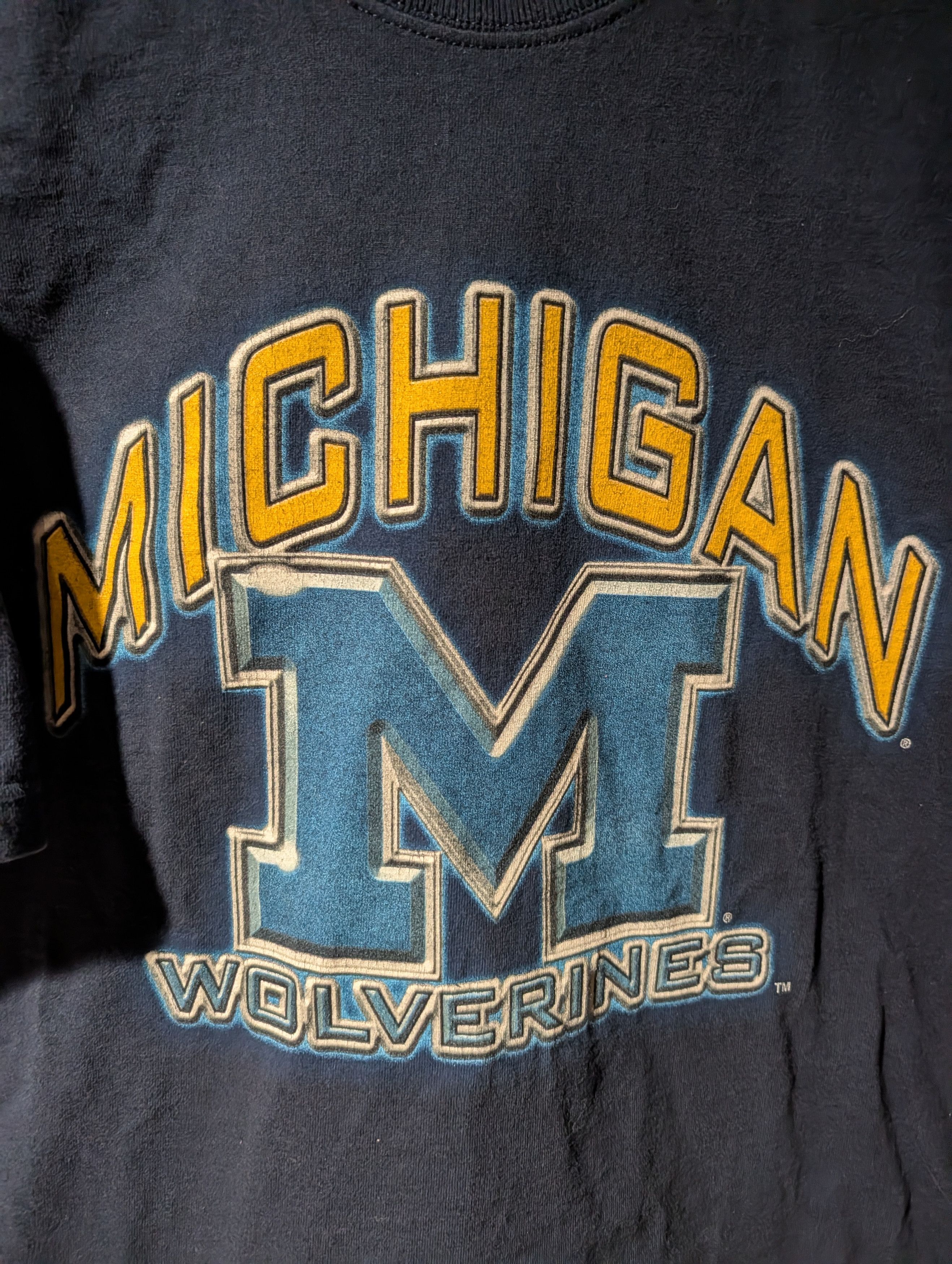 Pro Player Michigan Wolverines Vintage Pro Player NCAA College T-Shirt Size US XL / EU 56 / 4 - 2 Thumbnail