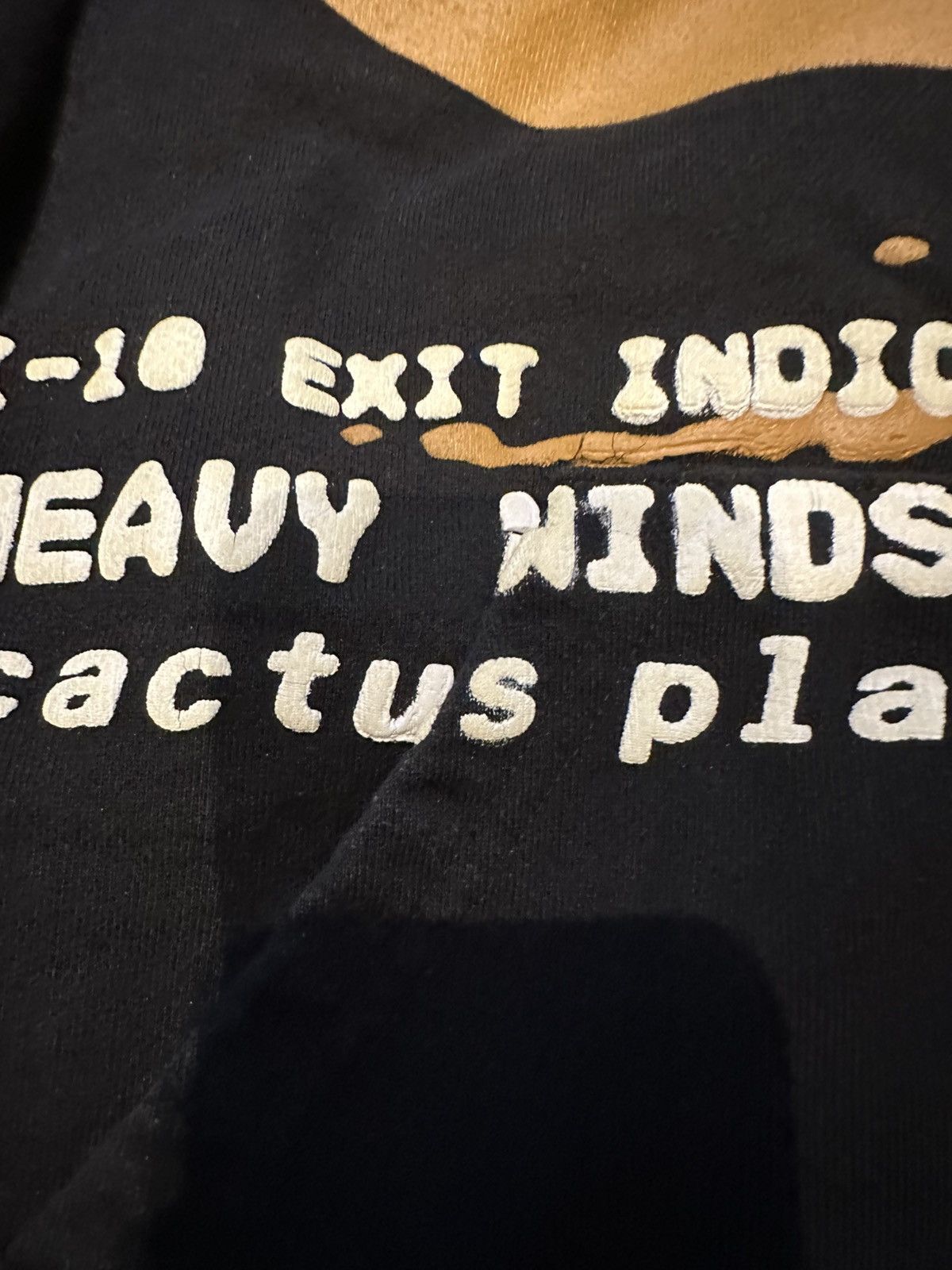 Cactus Plant Flea Market × Coachella Cactus Plant Flea Market Coachella Hoodie Size US L / EU 52-54 / 3 - 4 Thumbnail