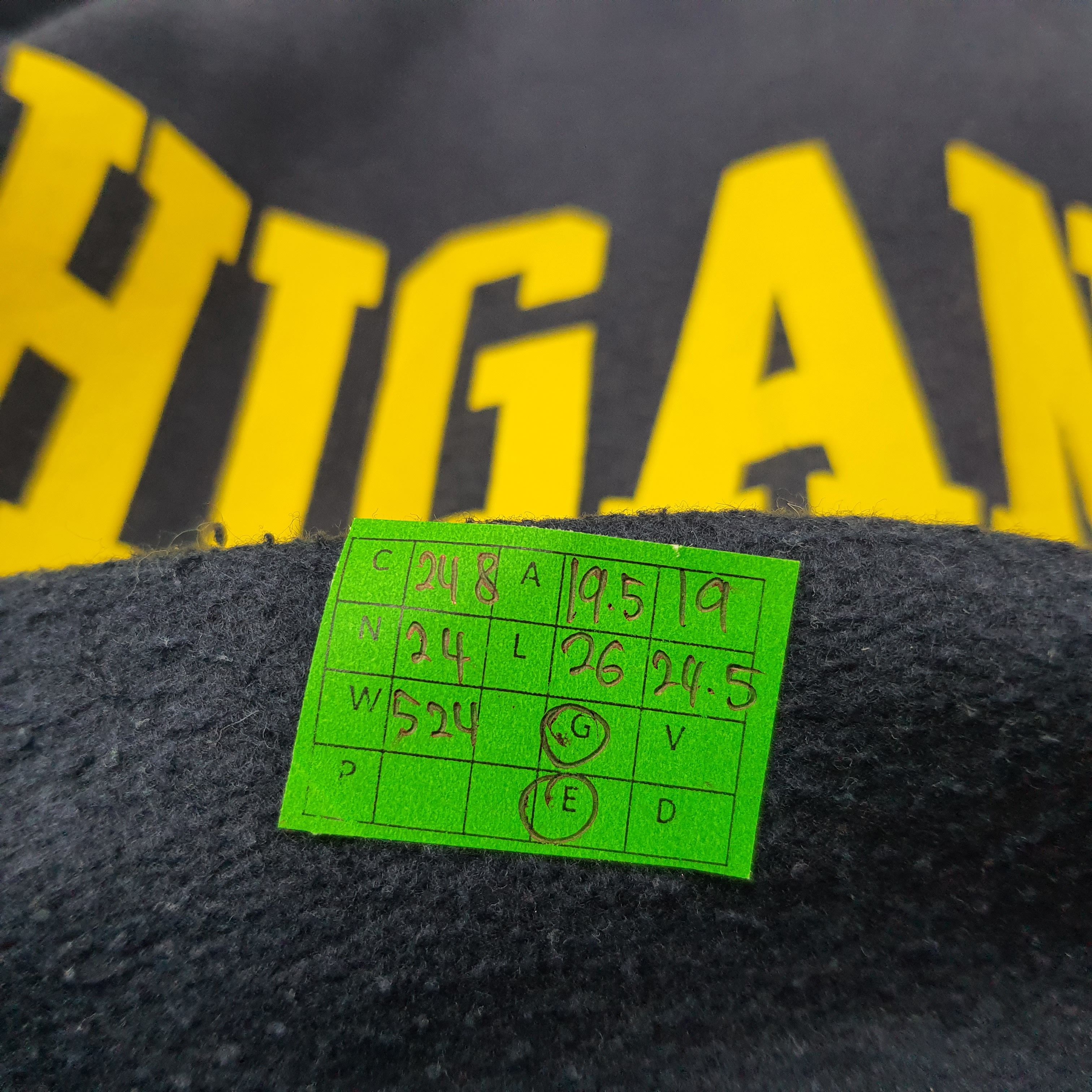 Champion Vintage Champion Michigan United State Hoodie C248N24 Size US S / EU 44-46 / 1 - 8 Thumbnail