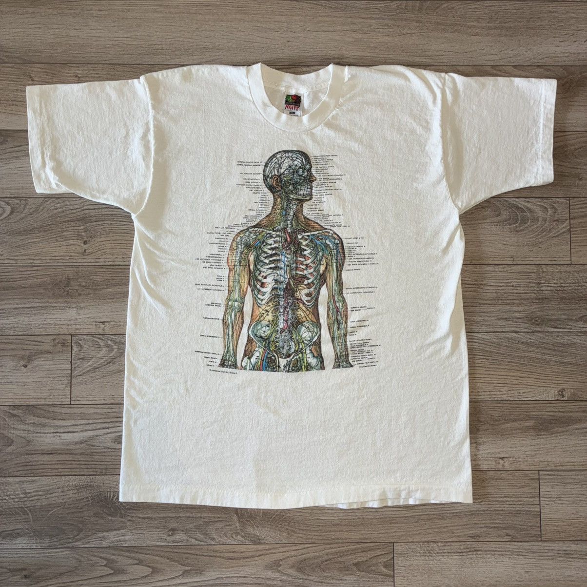 Fruit Of The Loom 90s nervous system anatomy tee Size US XL / EU 56 / 4 - 4 Thumbnail
