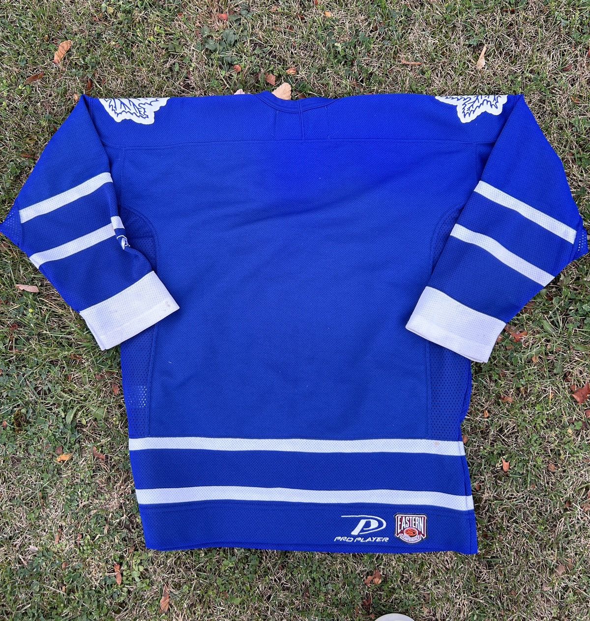 NHL CCM Toronto Maple Leafs NHL Jersey Size US XS / EU 42 / 0 - 3 Thumbnail