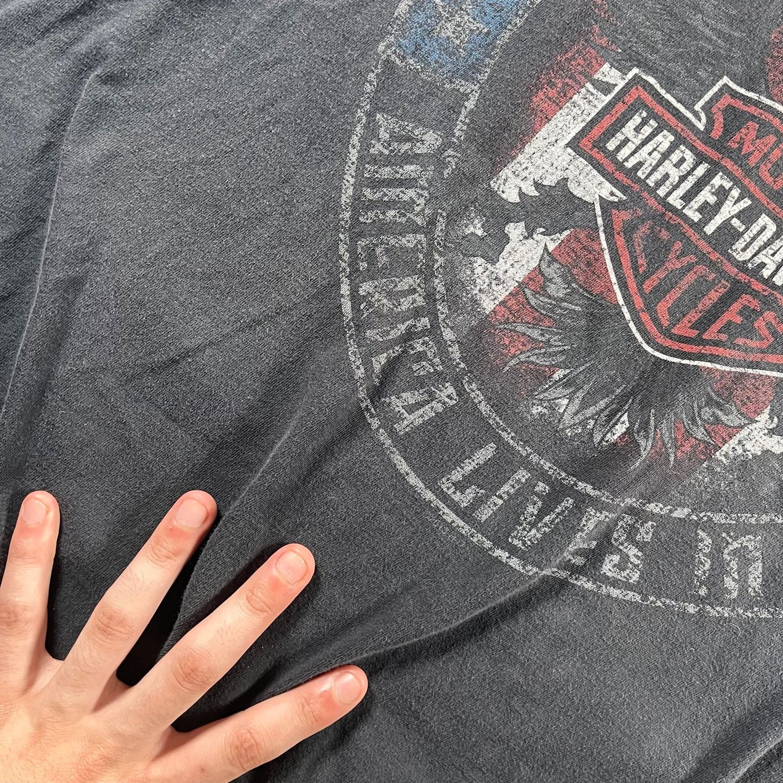 Harley Davidson Y2K harley Almo t shirt Size US XL / EU 56 / 4 - 9 Thumbnail