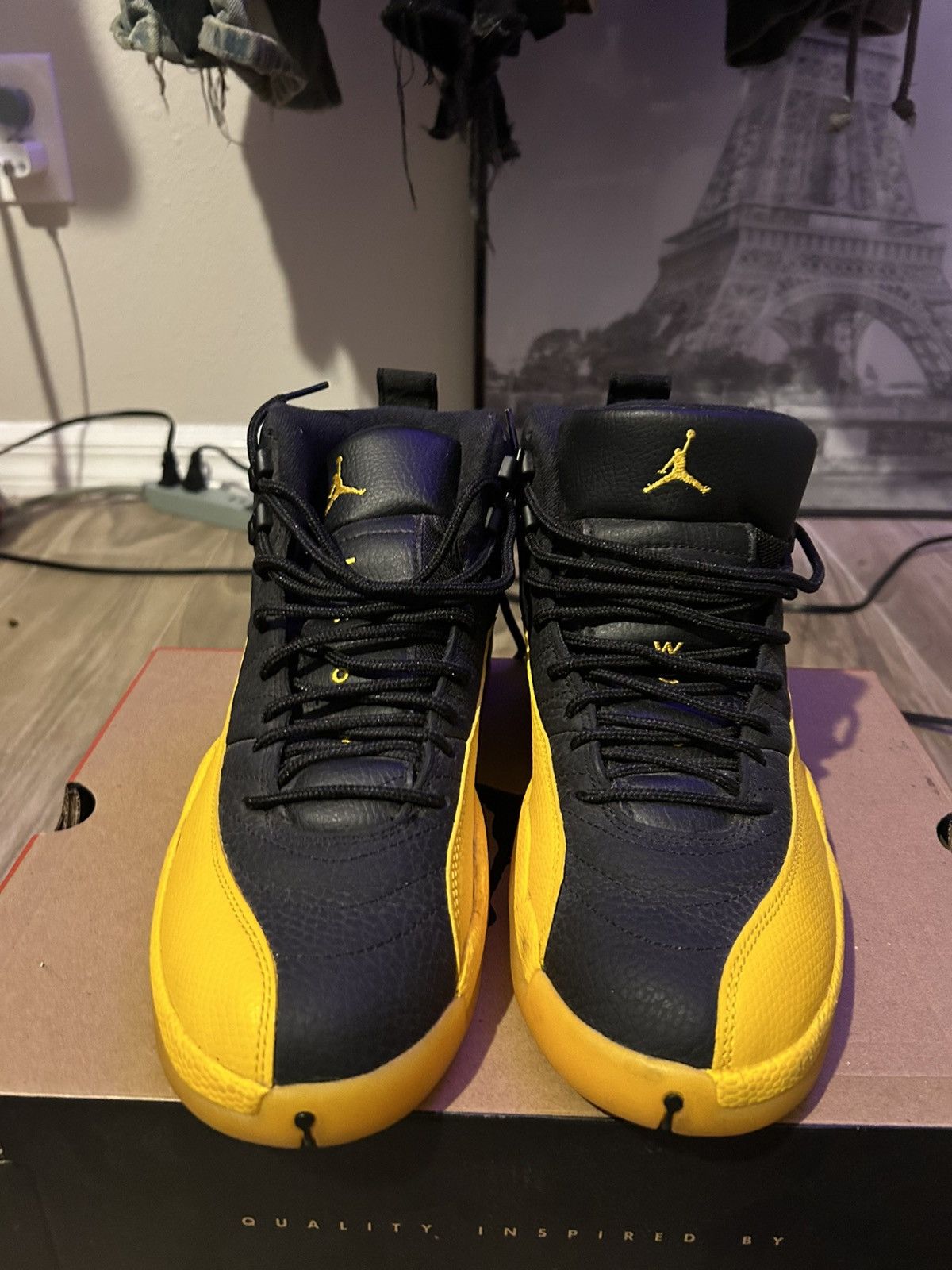 Jordan 12s University Gold and Black